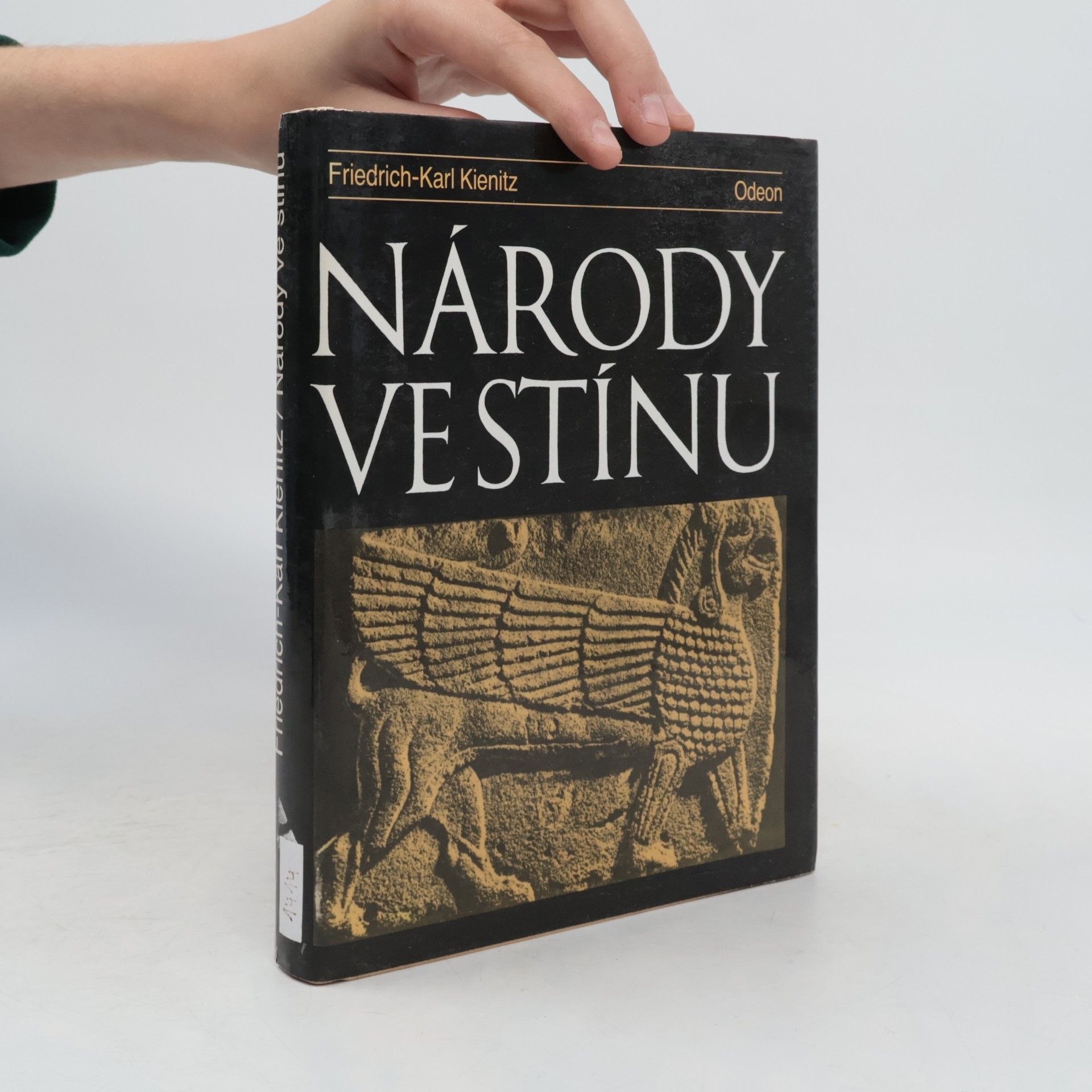 Friedrich Karl Kienitz Národy ve stínu