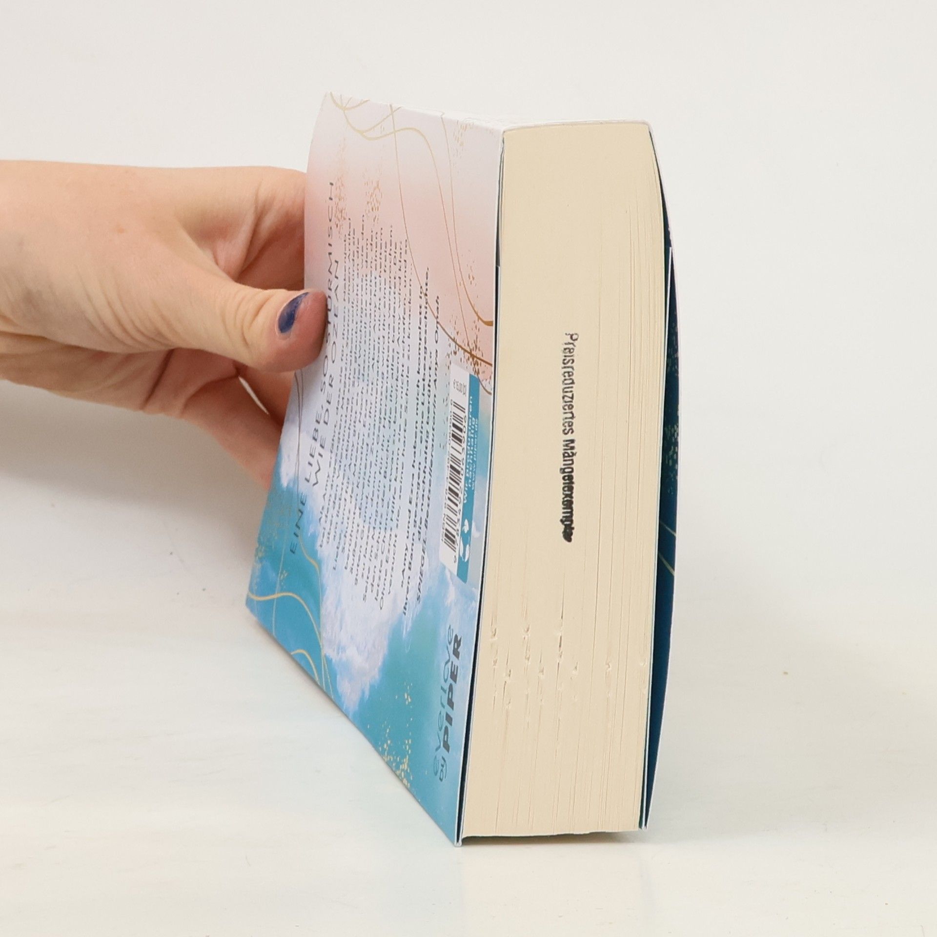 Stefanie Santer An Ocean so Wide