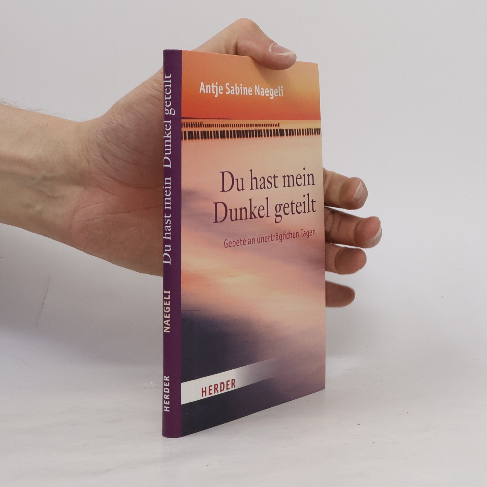 Antje Sabine Naegeli Du hast mein Dunkel geteilt