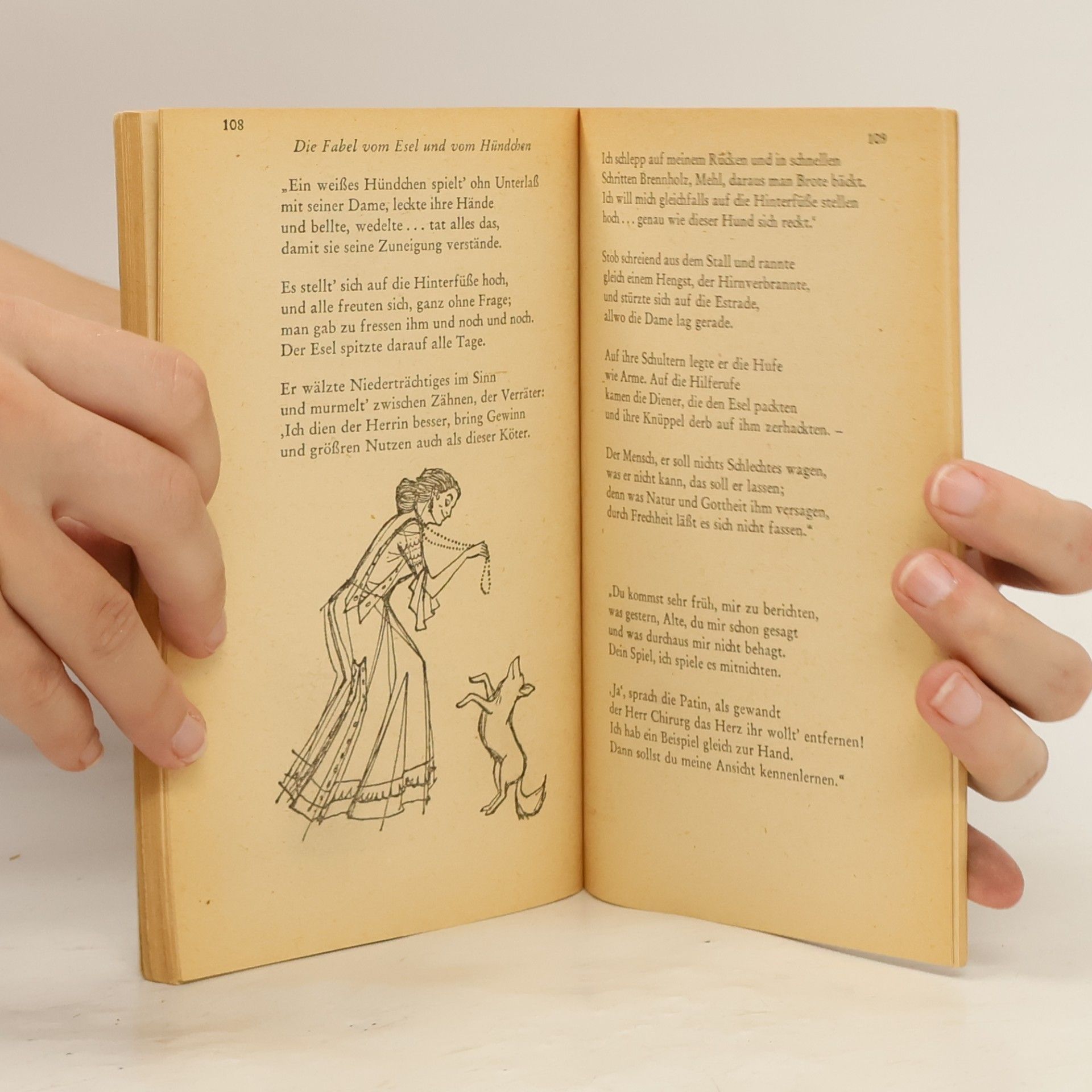 Juan Ruiz Aus dem Buch der guten Liebe