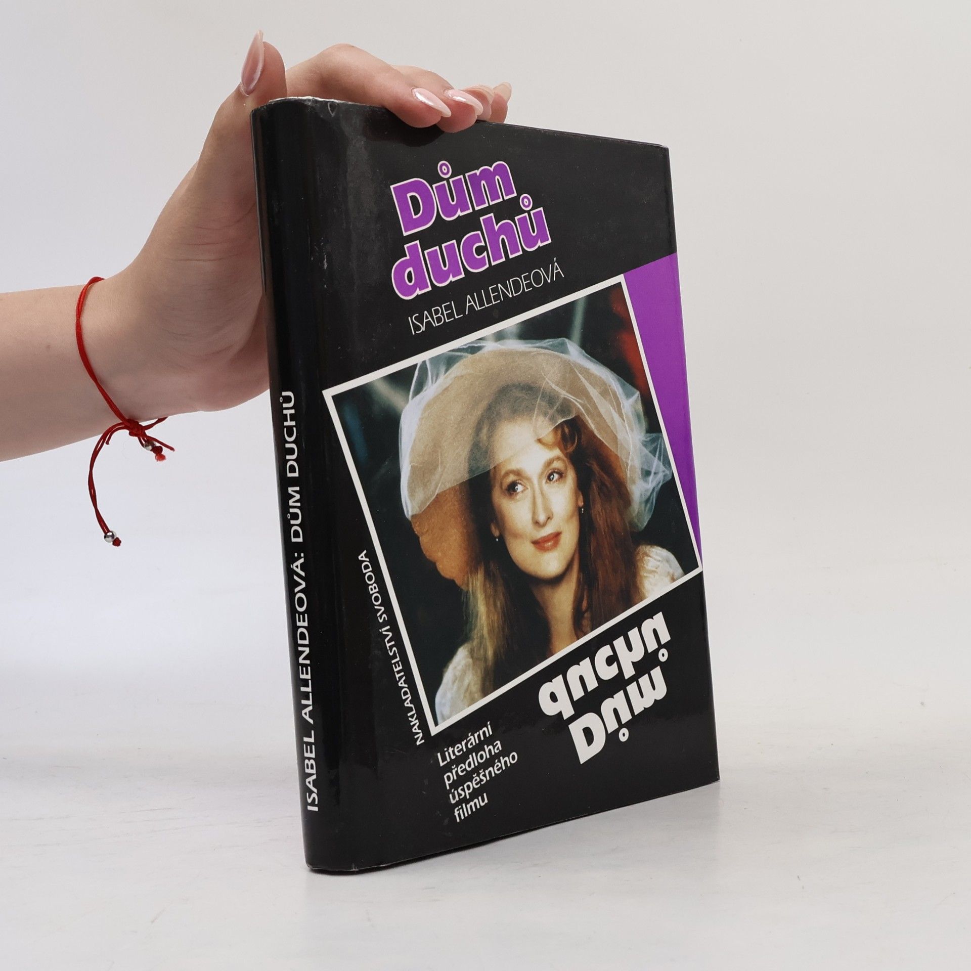 Isabel Allende Dům duchů