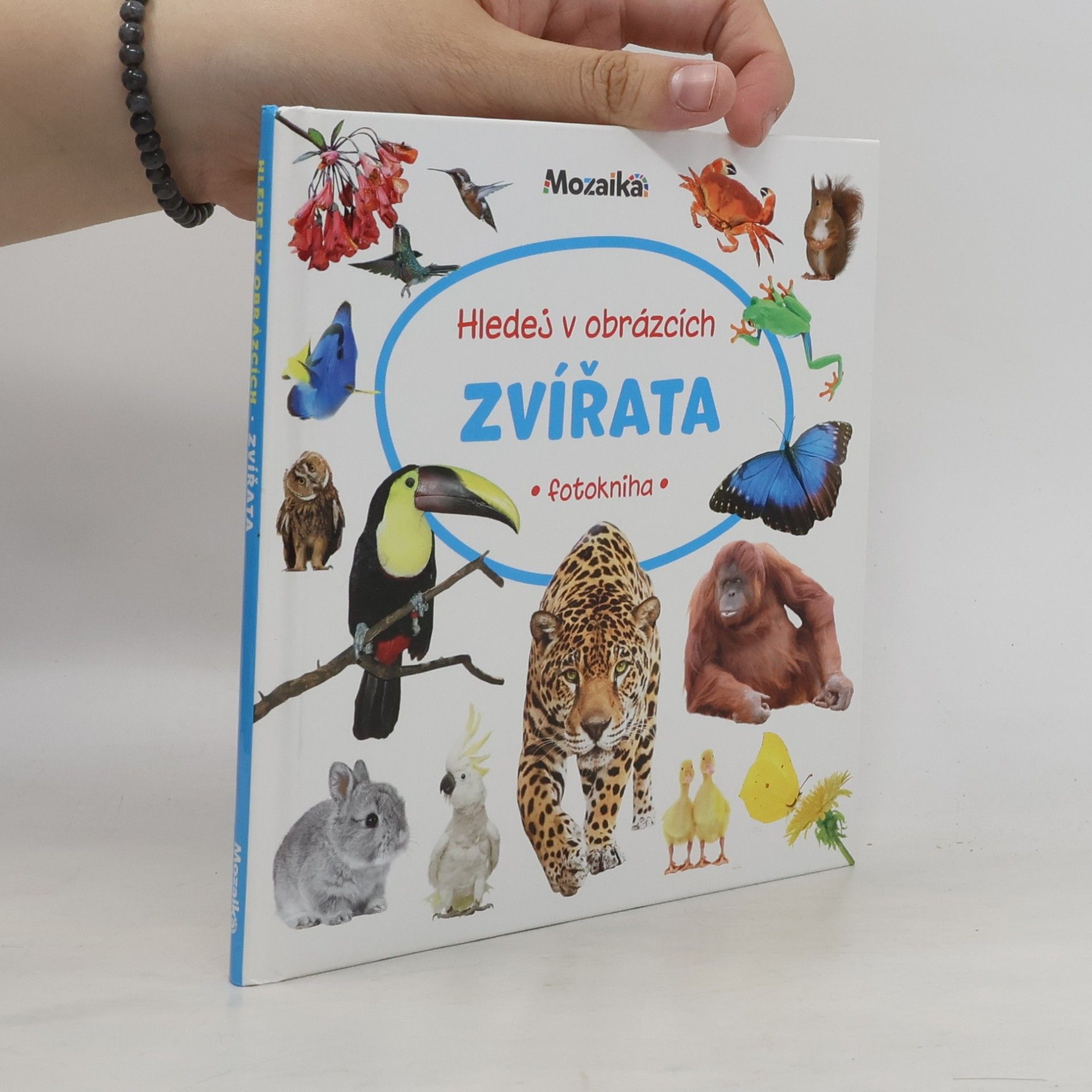 Kolektiv autorů Hledej v obrázcích: Zvířata (fotokniha)