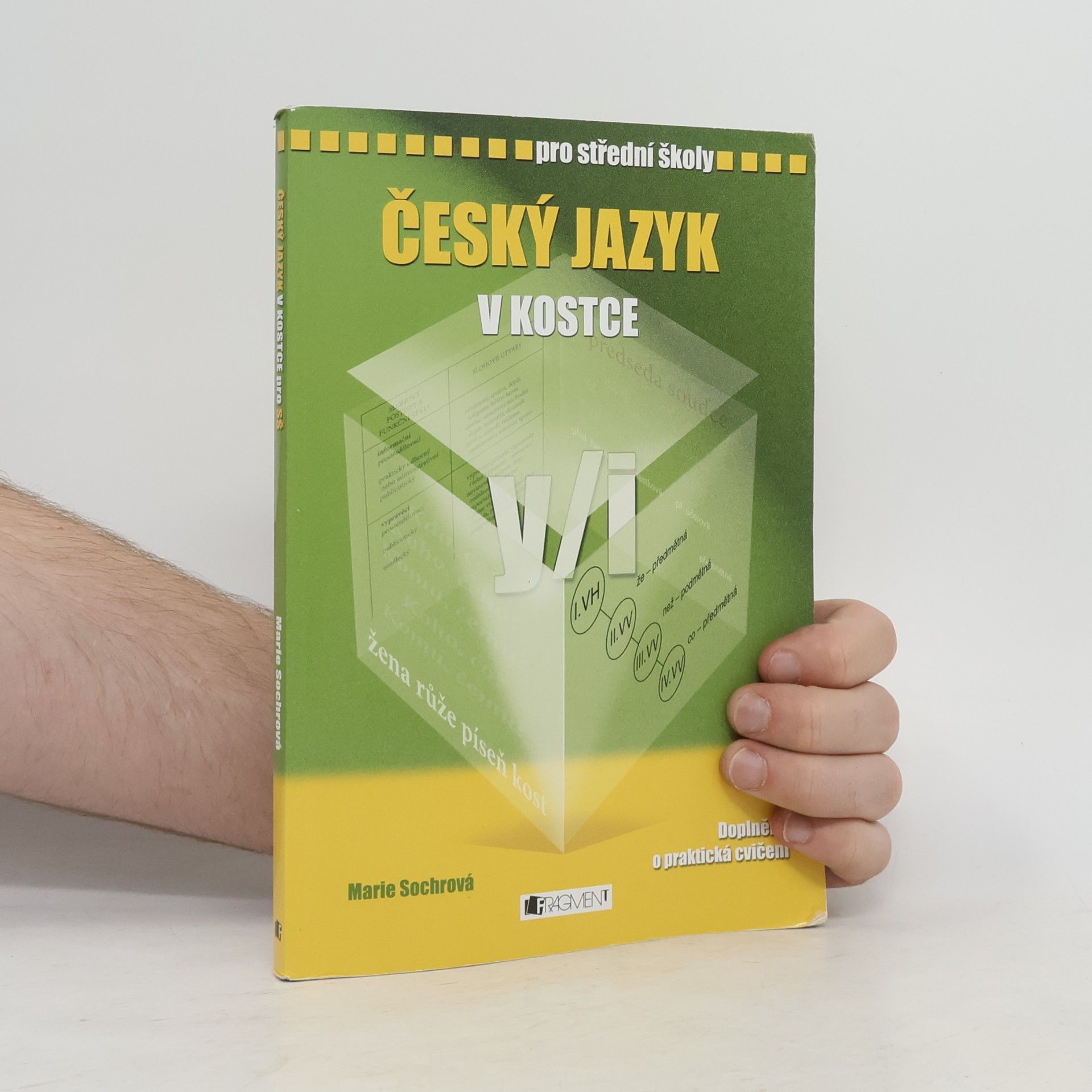 Marie Sochrová Český jazyk v kostce : pro střední školy