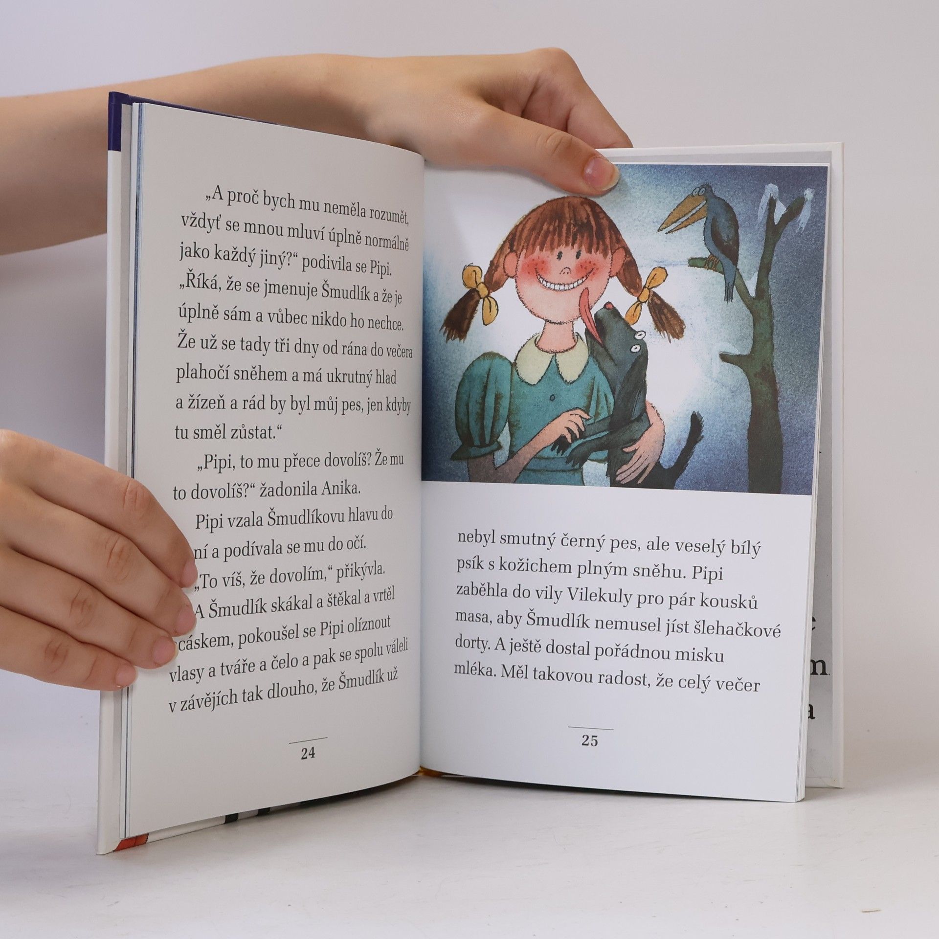 Astrid Lindgren Vánoční večírek Pipi Dlouhé punčochy