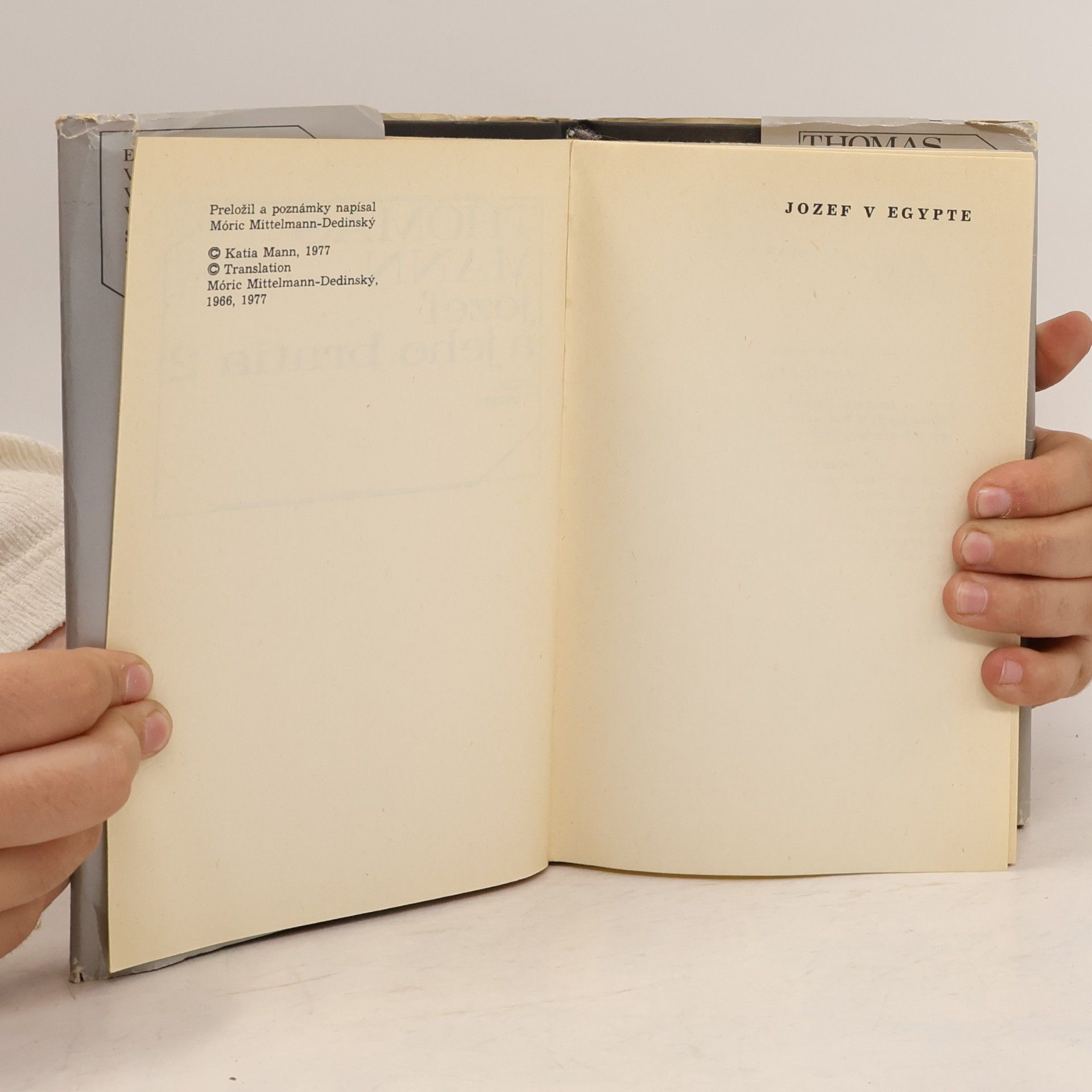 Thomas Mann Jozef a jeho bratia 2