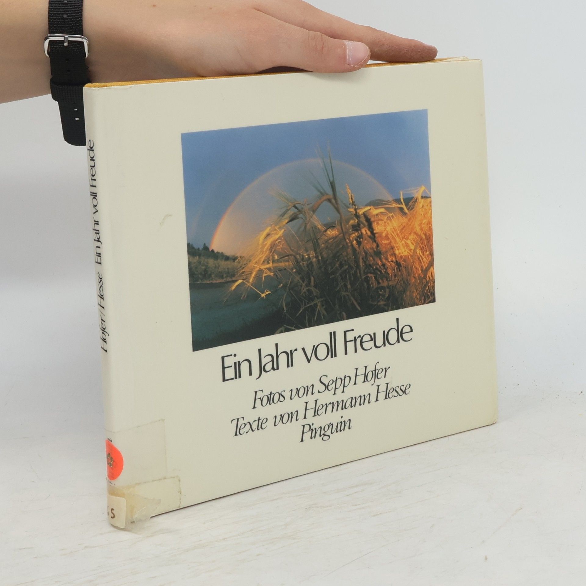 Hermann Hesse Ein Jahr voll Freude