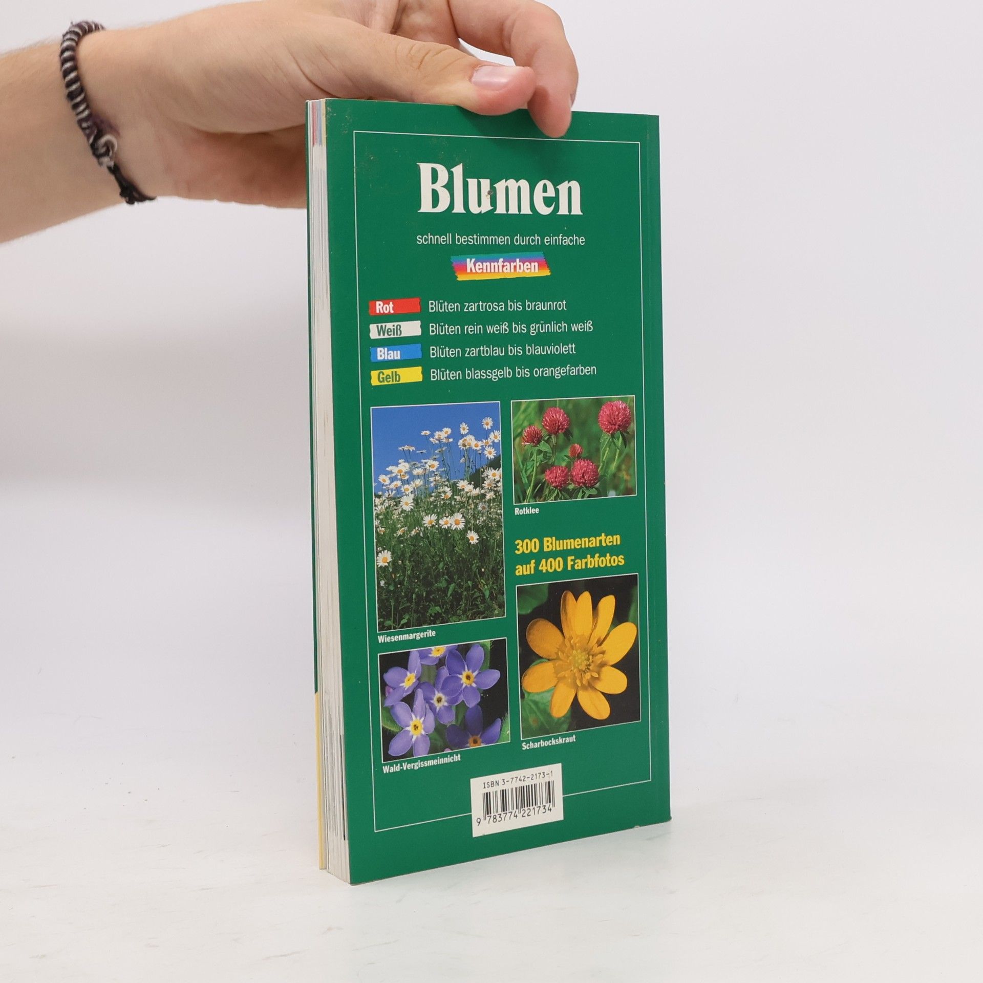 Robert Hofrichter Blumen