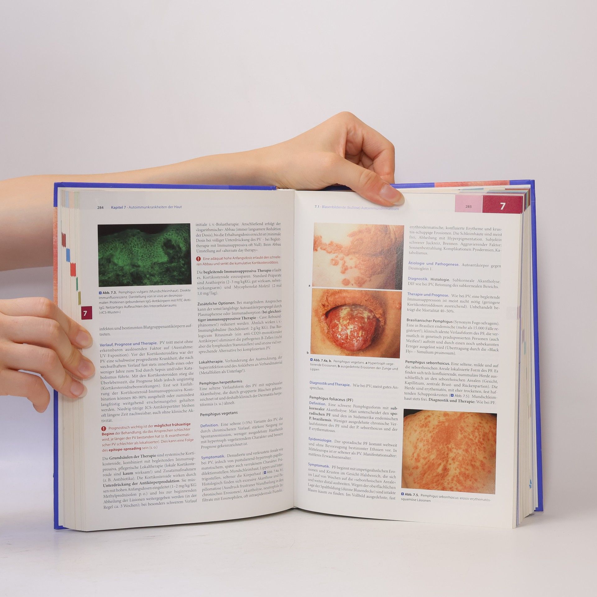 Peter Fritsch Dermatologie und Venerologie für das Studium