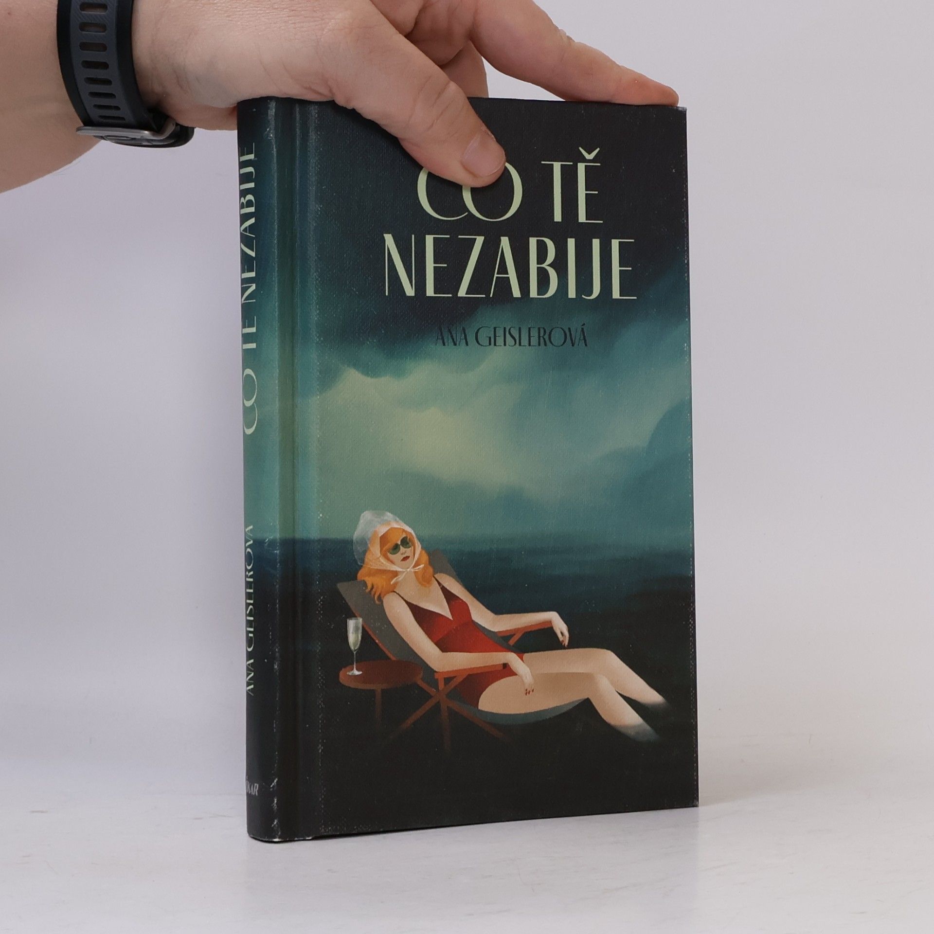 Aňa Geislerová Co tě nezabije