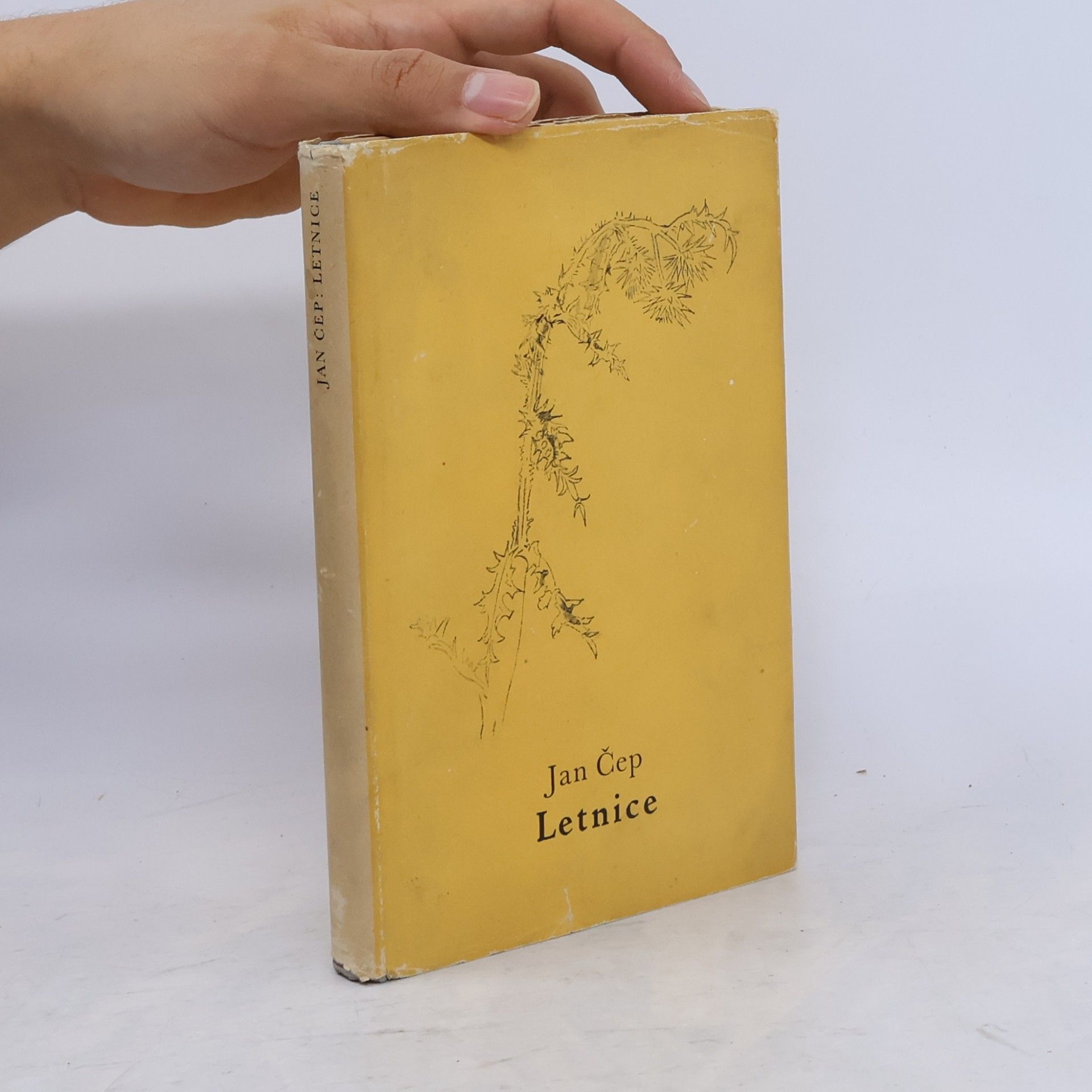 Letnice