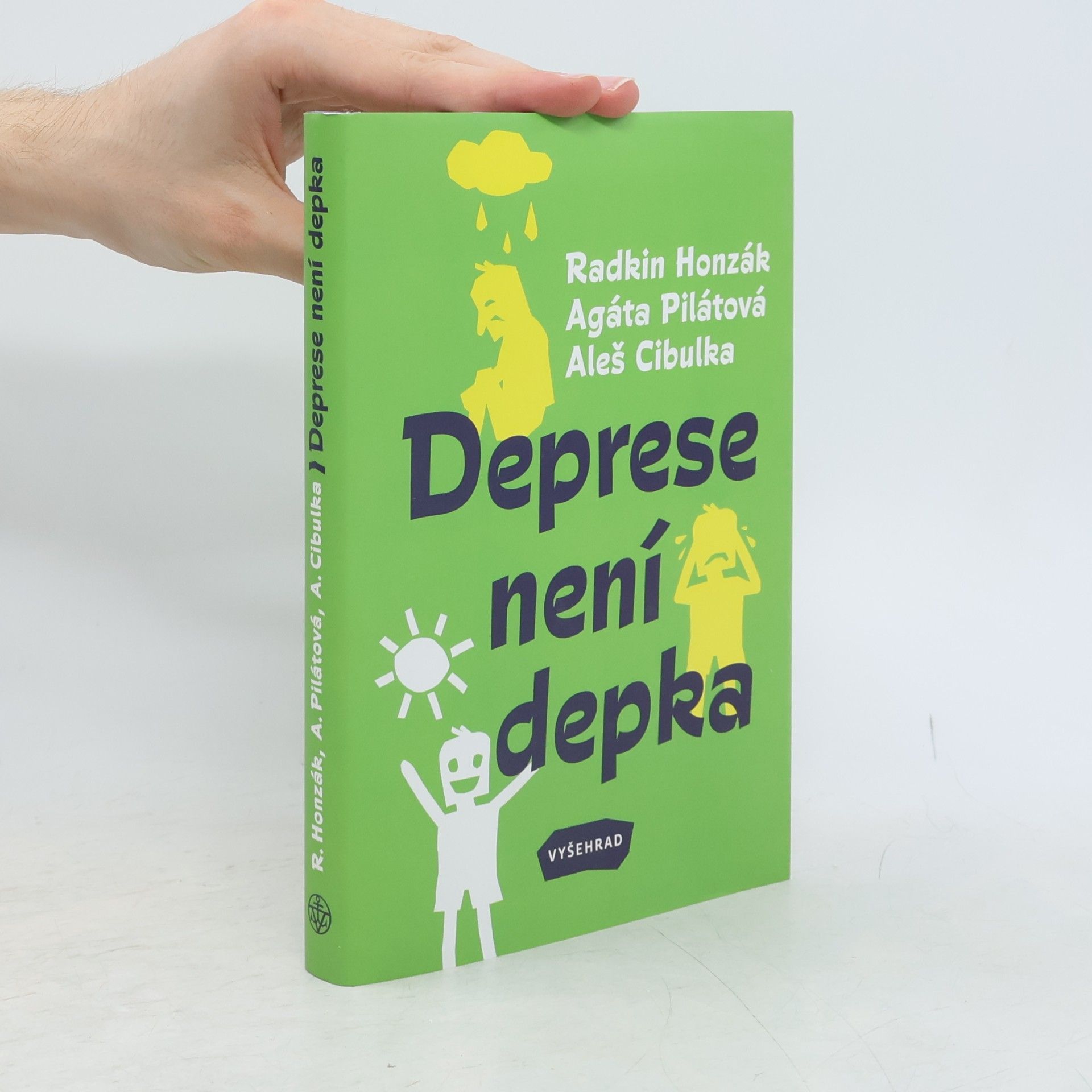 Kolektiv autorů Deprese není depka