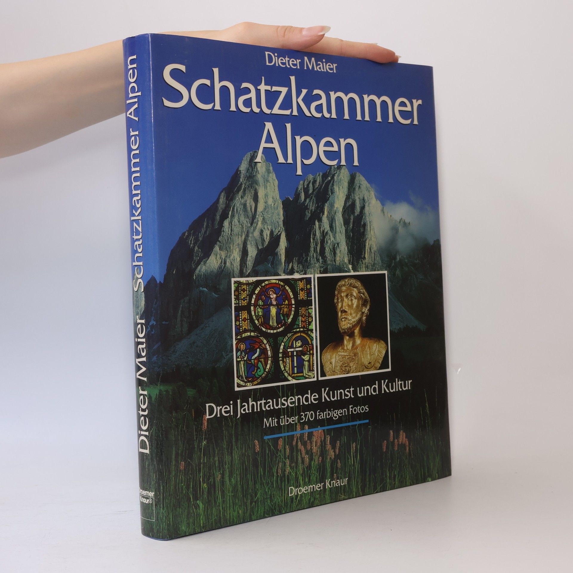 Dieter Maier Schatzkammer Alpen