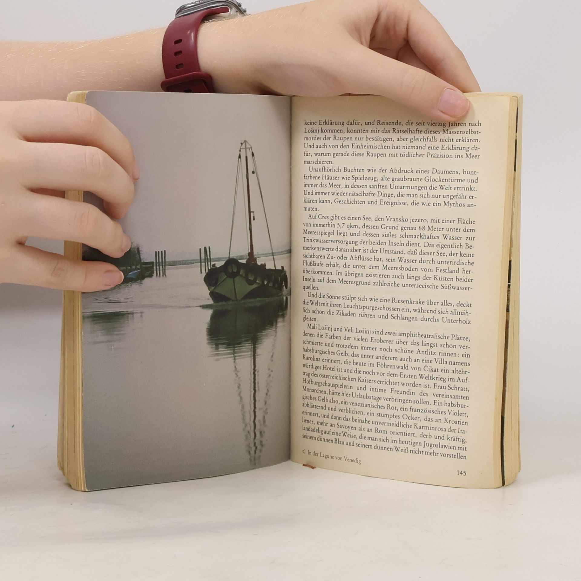 Humbert Fink Adriatische Ufer
