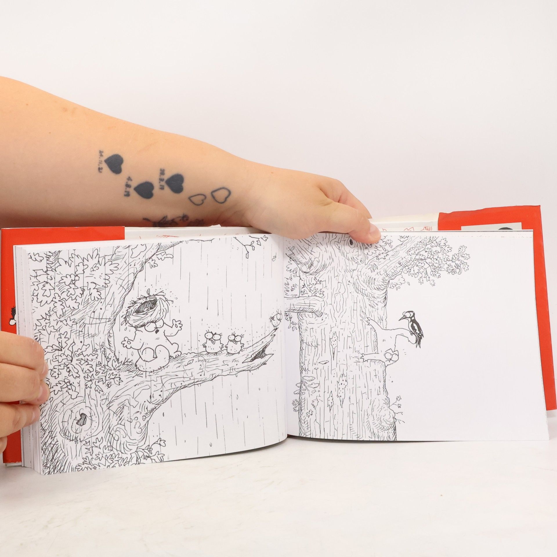 Simon Tofield Simon's Cat: Beyond the Fence