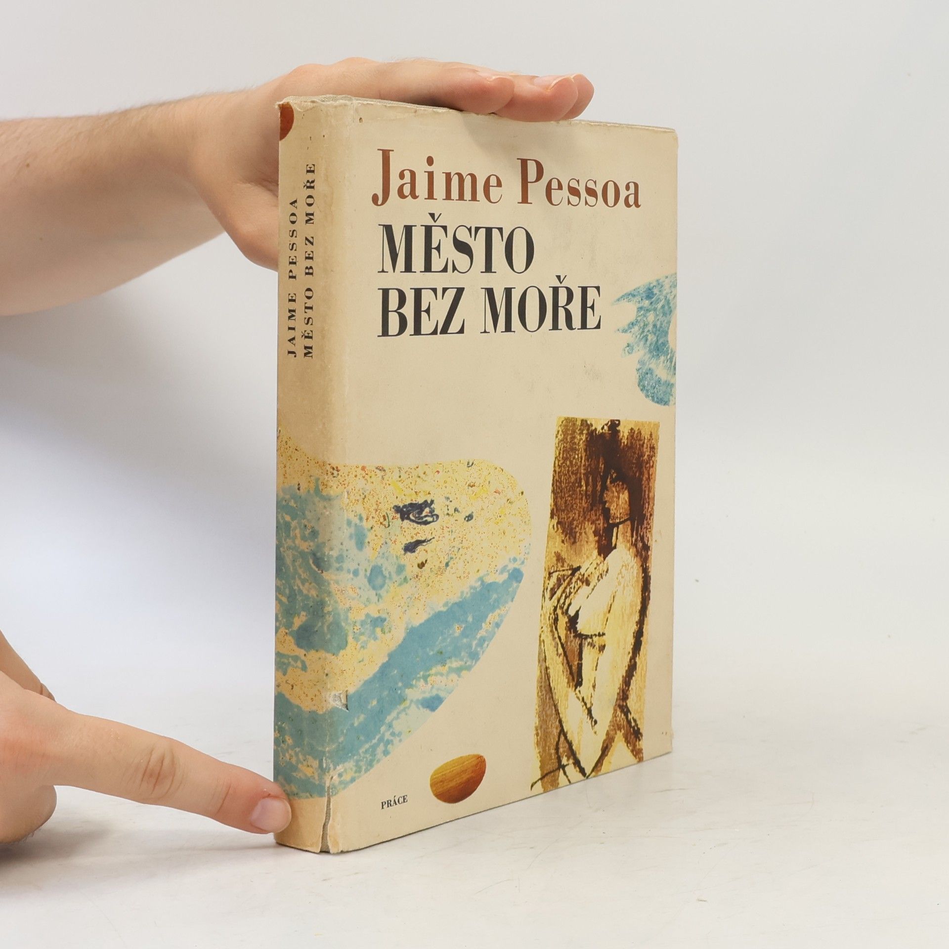 Jaime Pessoa Město bez moře