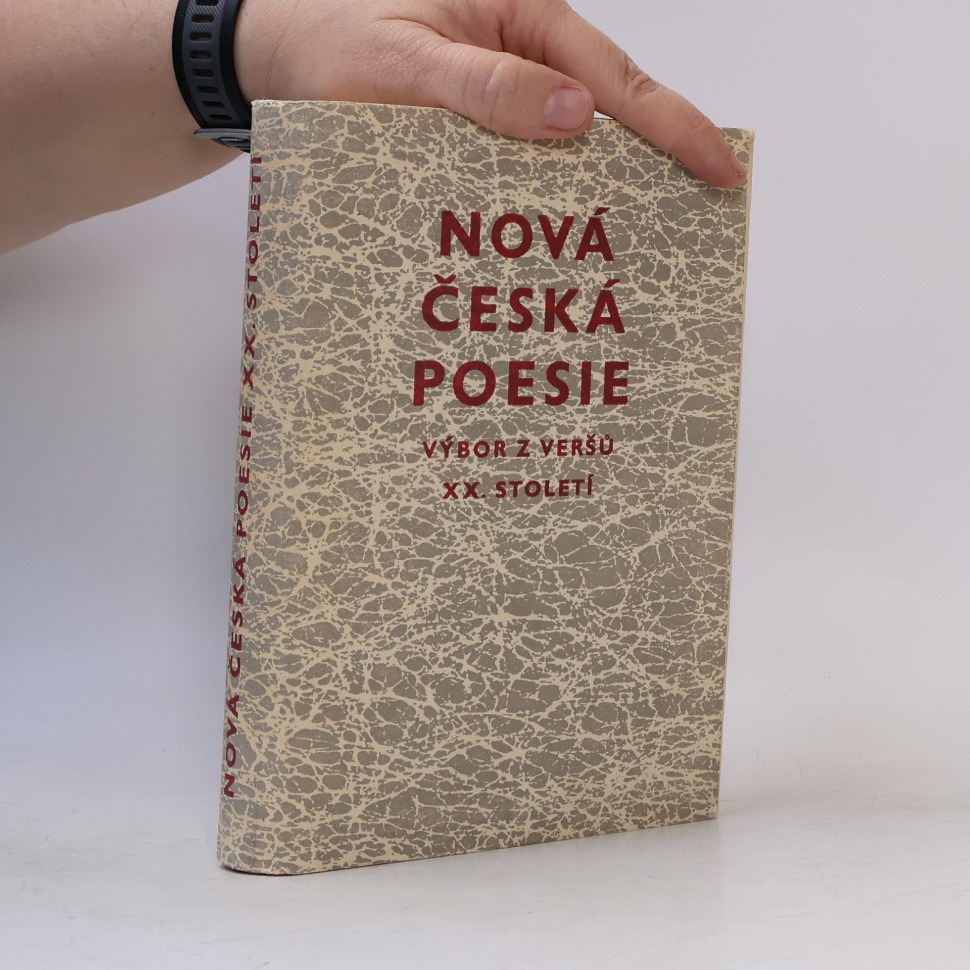 František Buriánek Nová česká poesie