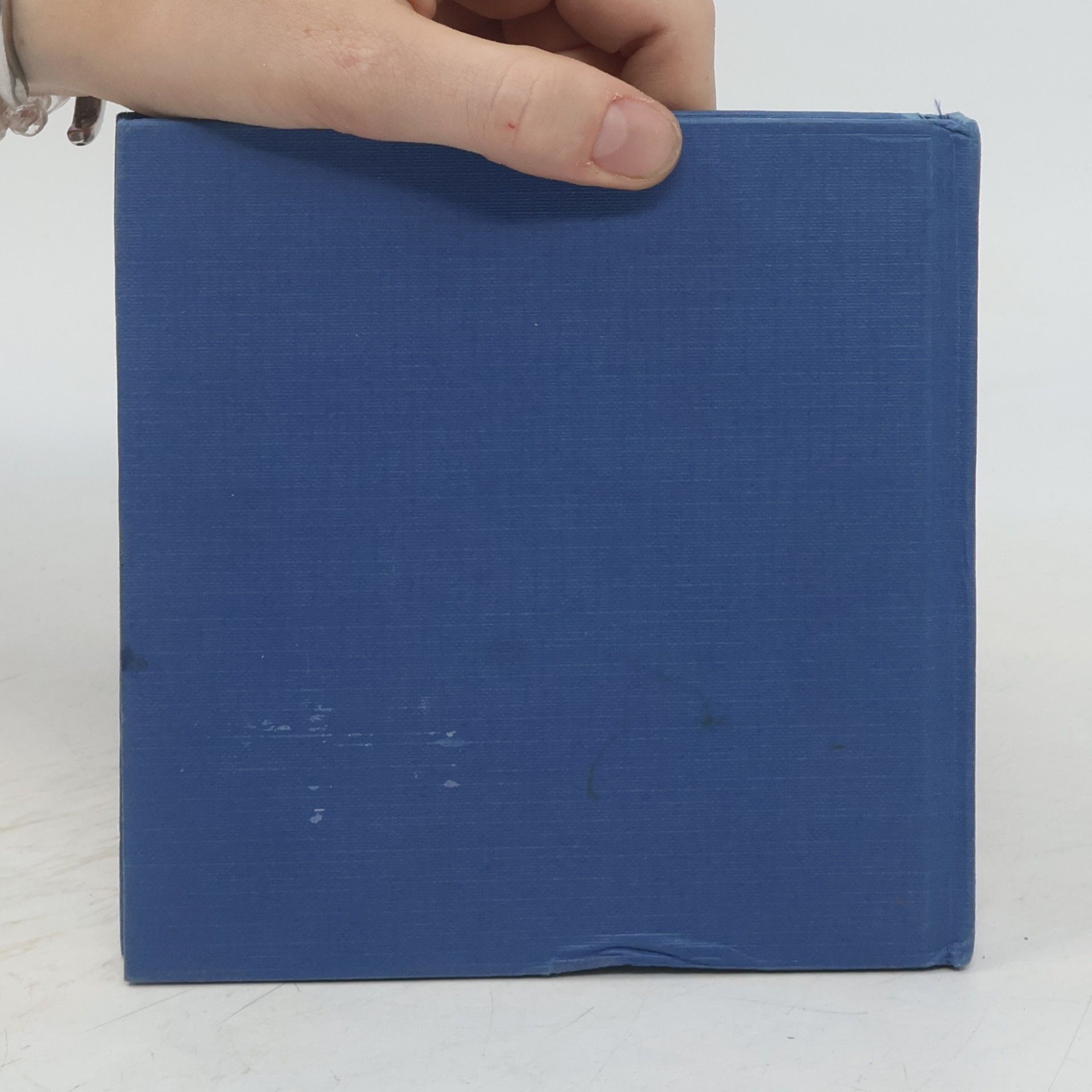 Greive Bradley Trevor The Blue Day Book