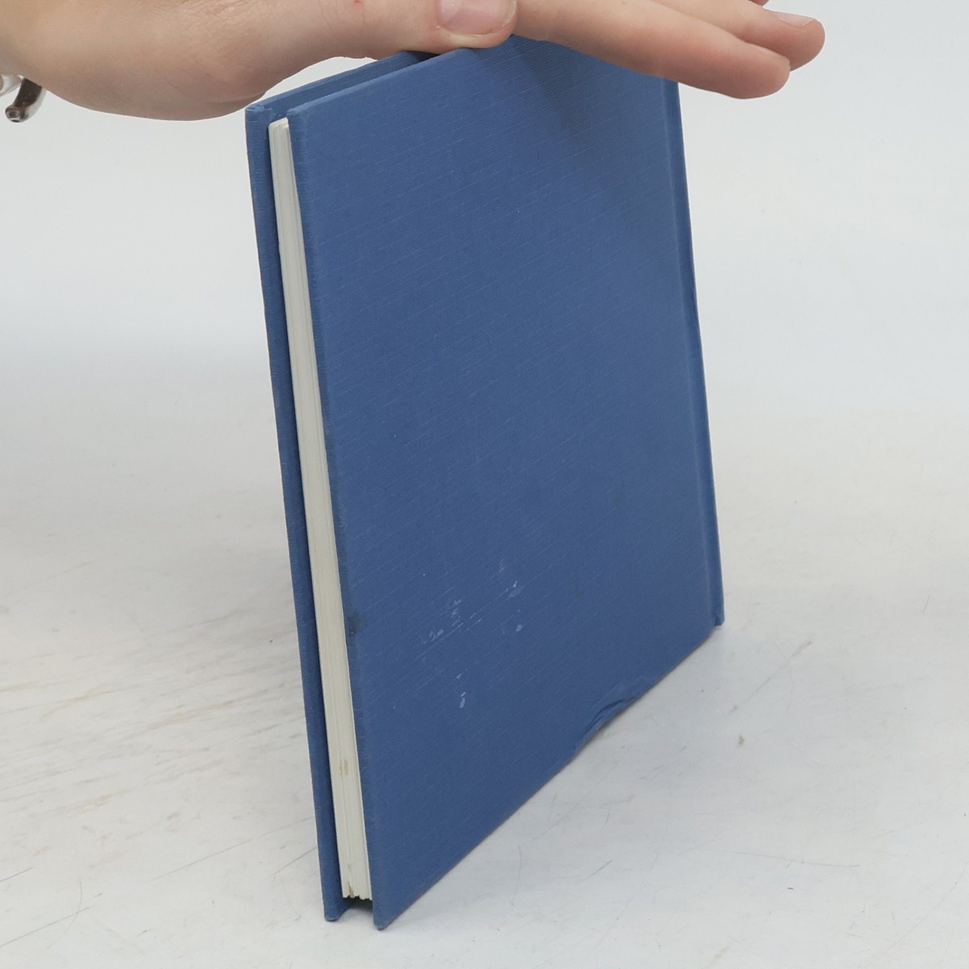 Greive Bradley Trevor The Blue Day Book