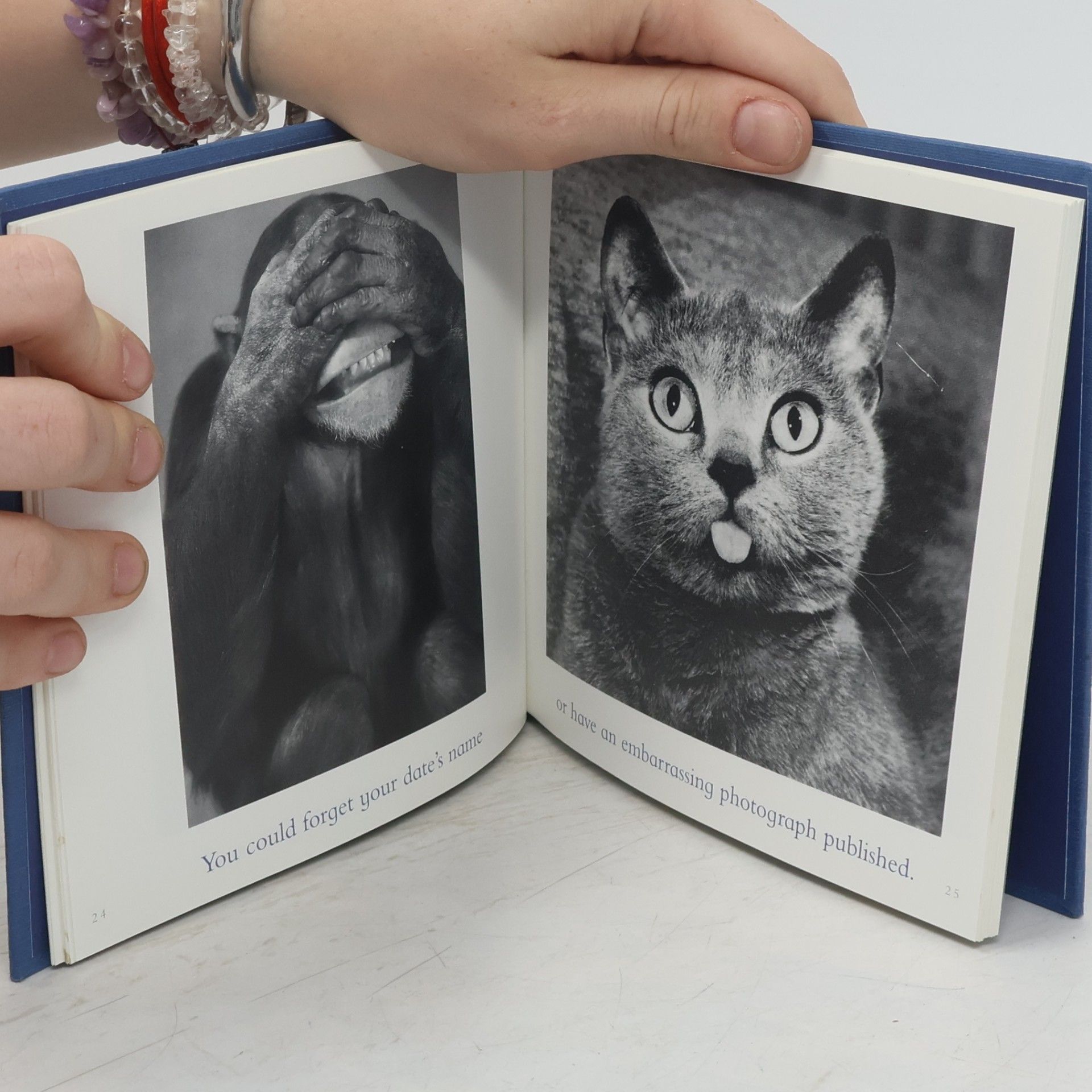 Greive Bradley Trevor The Blue Day Book