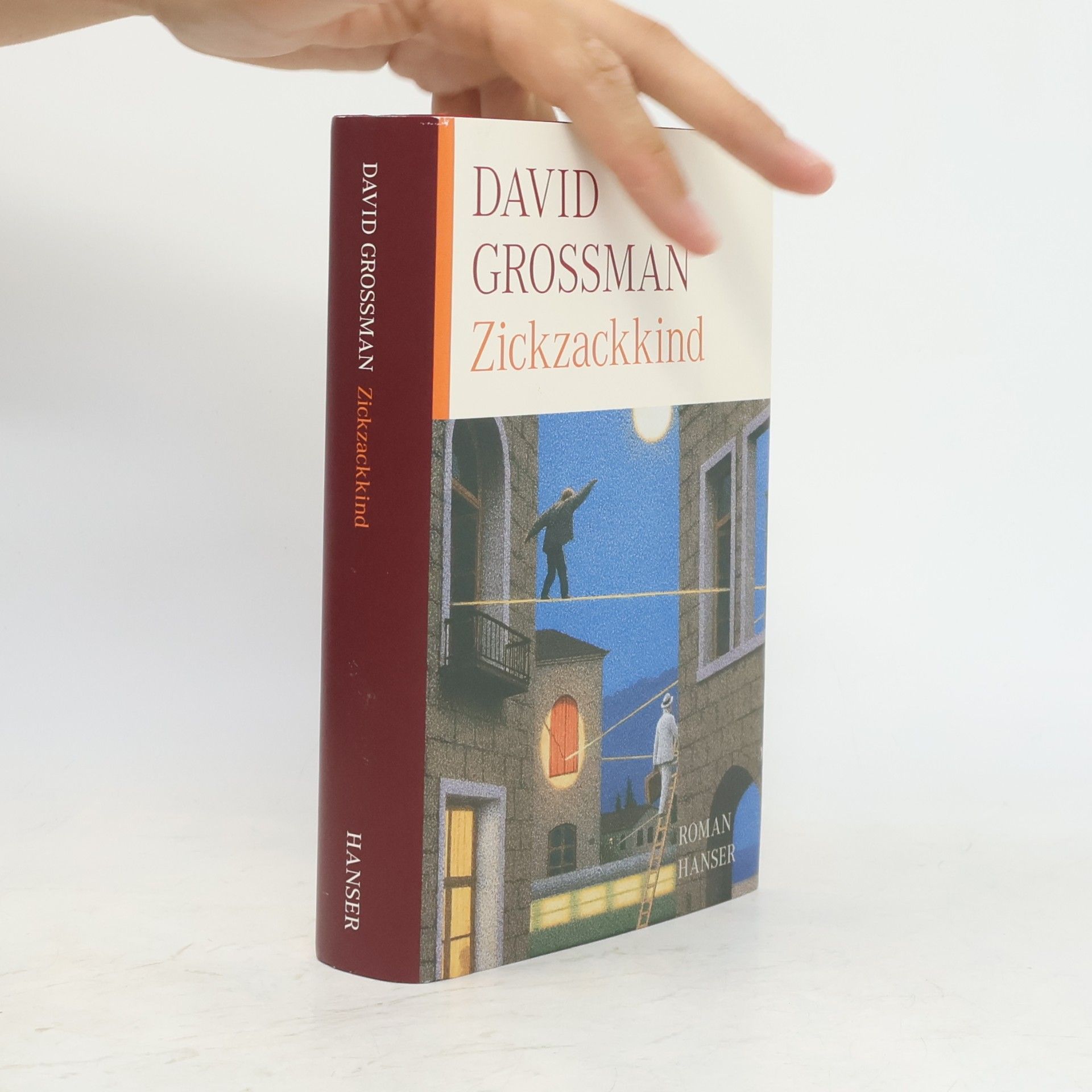David Grossman Zickzackkind