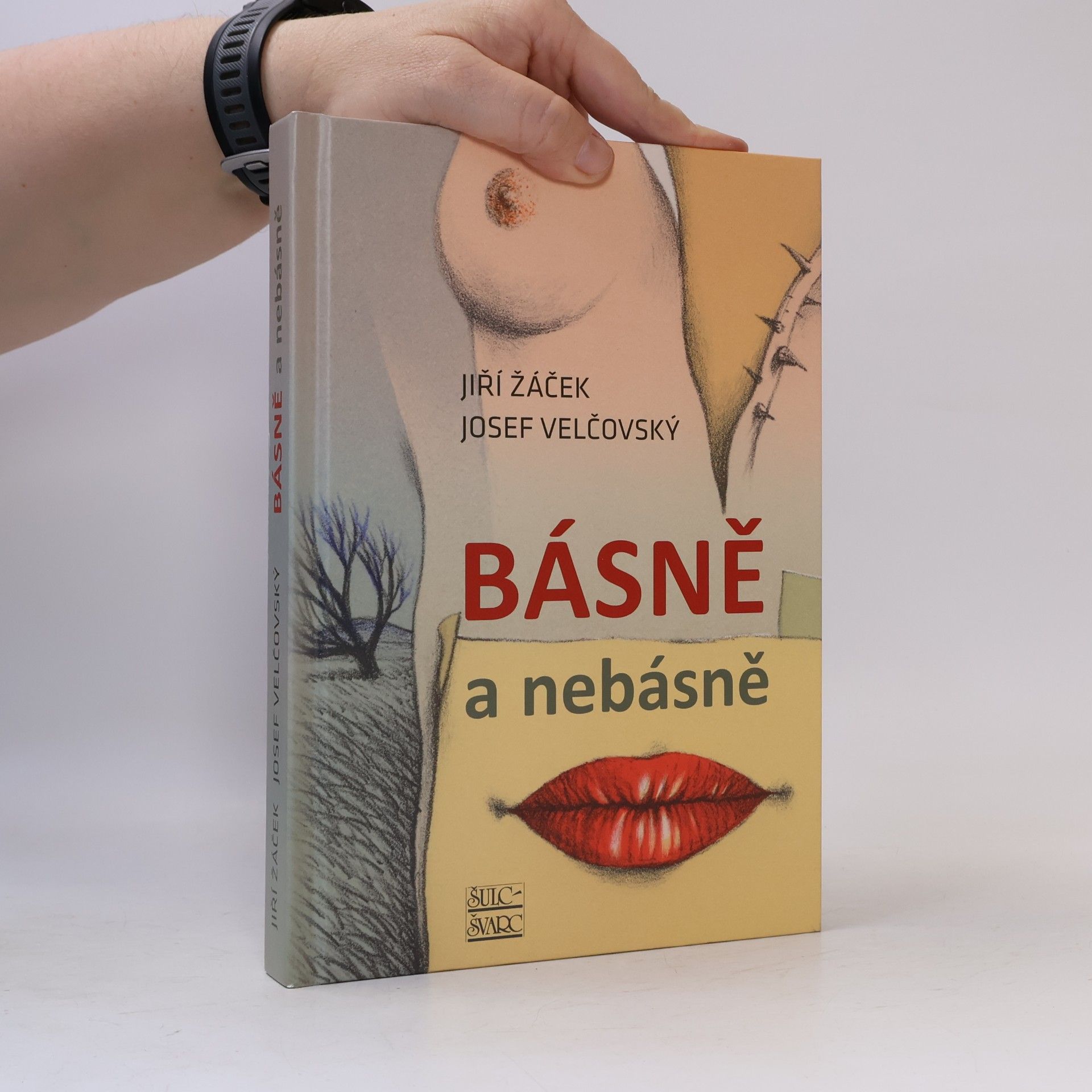 Básně a nebásně