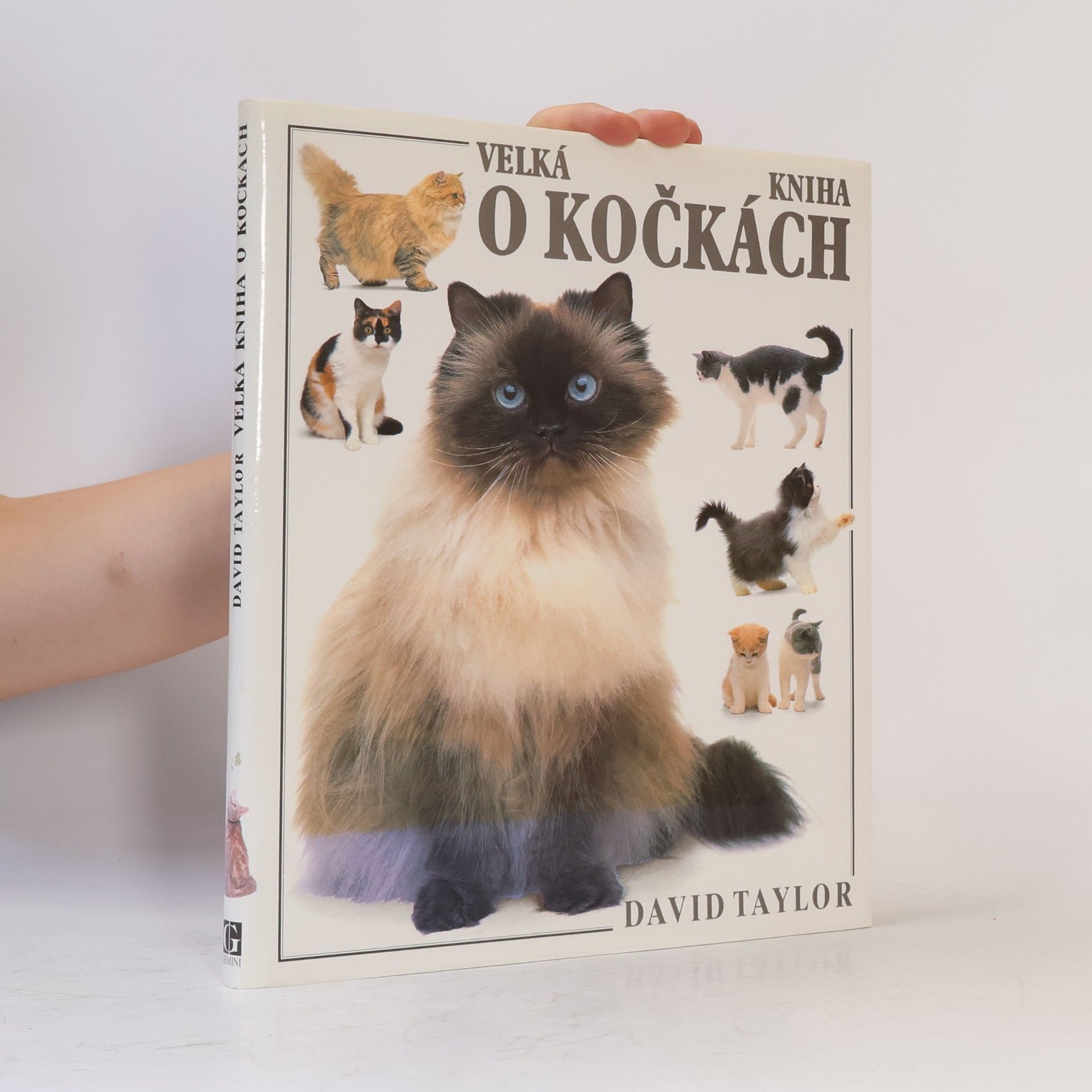 David Conrad Taylor Velká kniha o kočkách