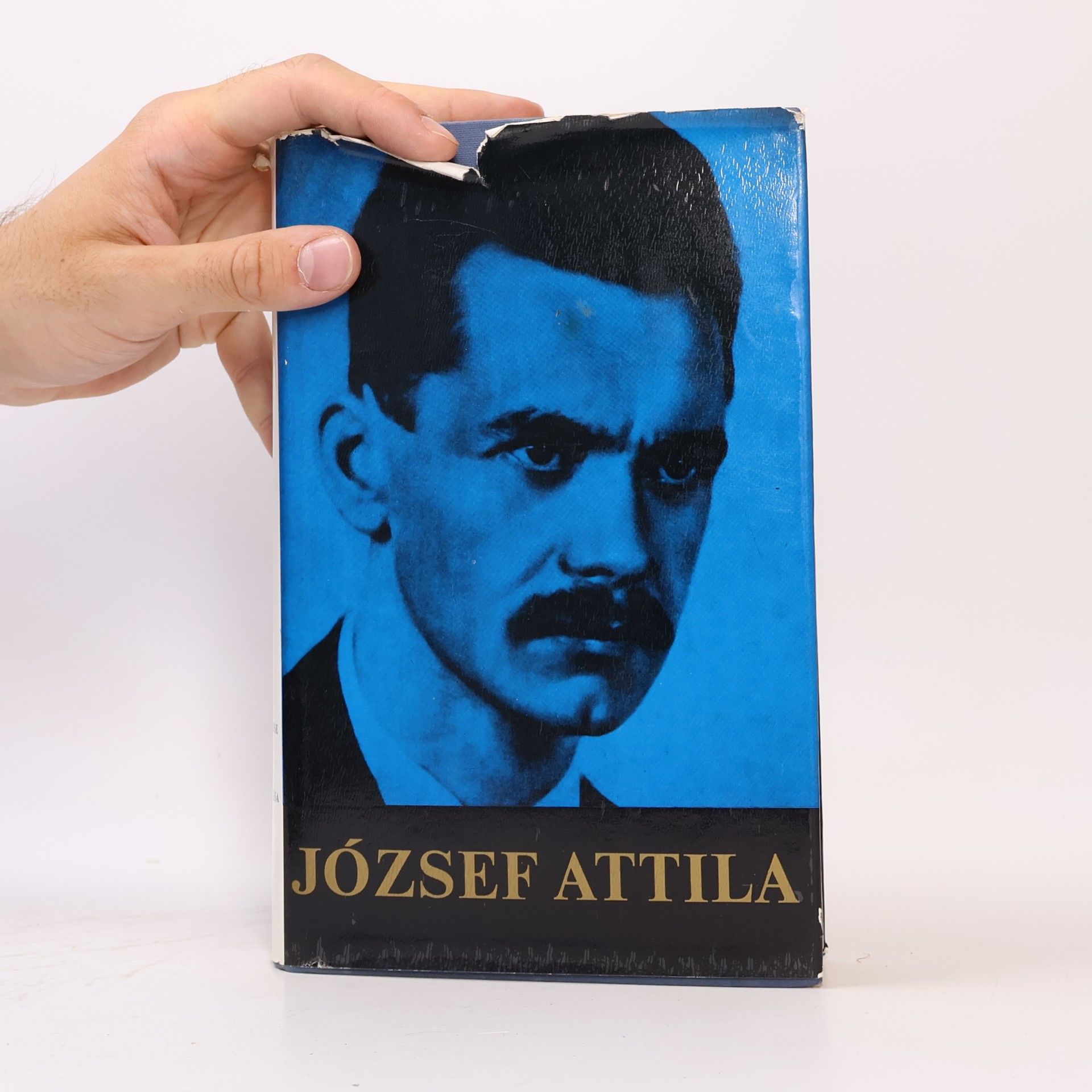 Attila József József Attila minden verse és versfordítása