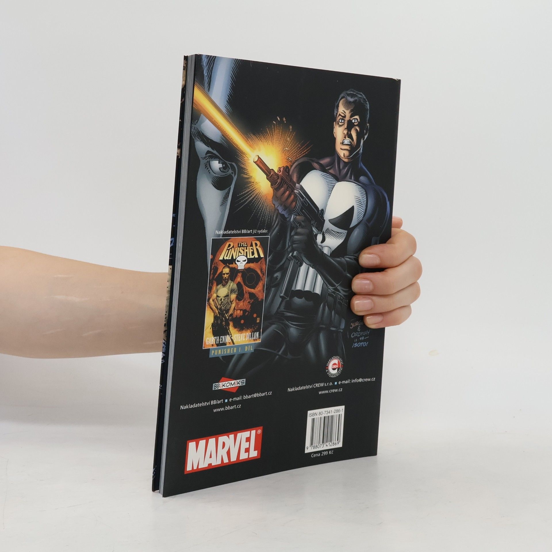 Garth Ennis The Punisher 2