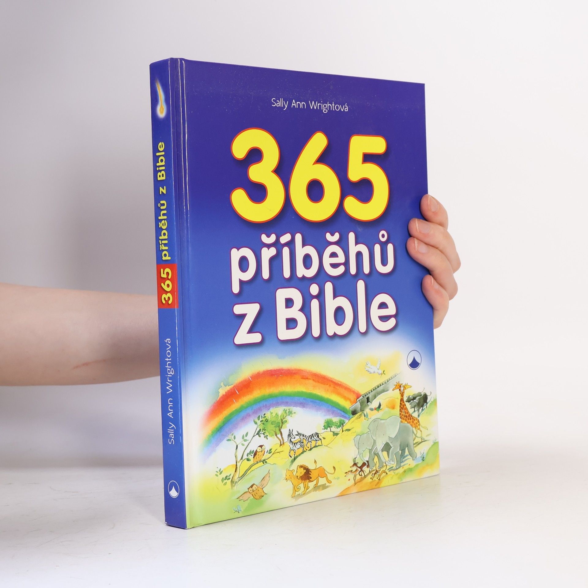 Sally Ann Wright 365 příběhů z Bible
