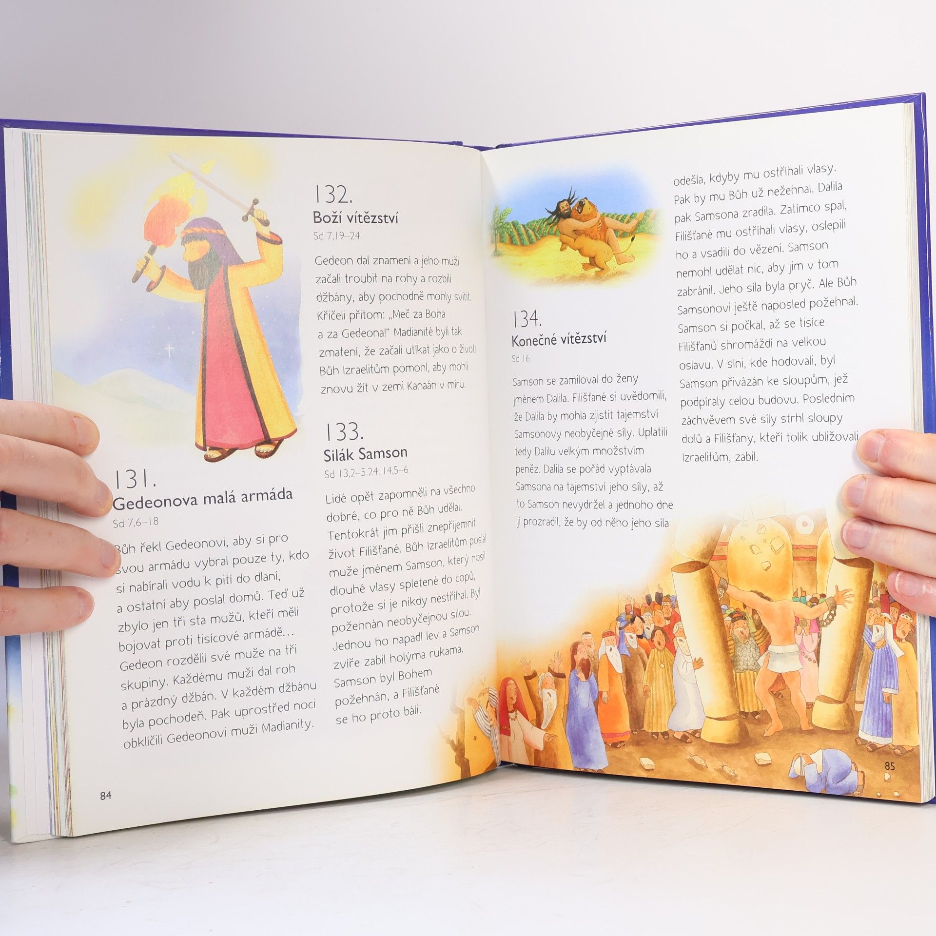 Sally Ann Wright 365 příběhů z Bible