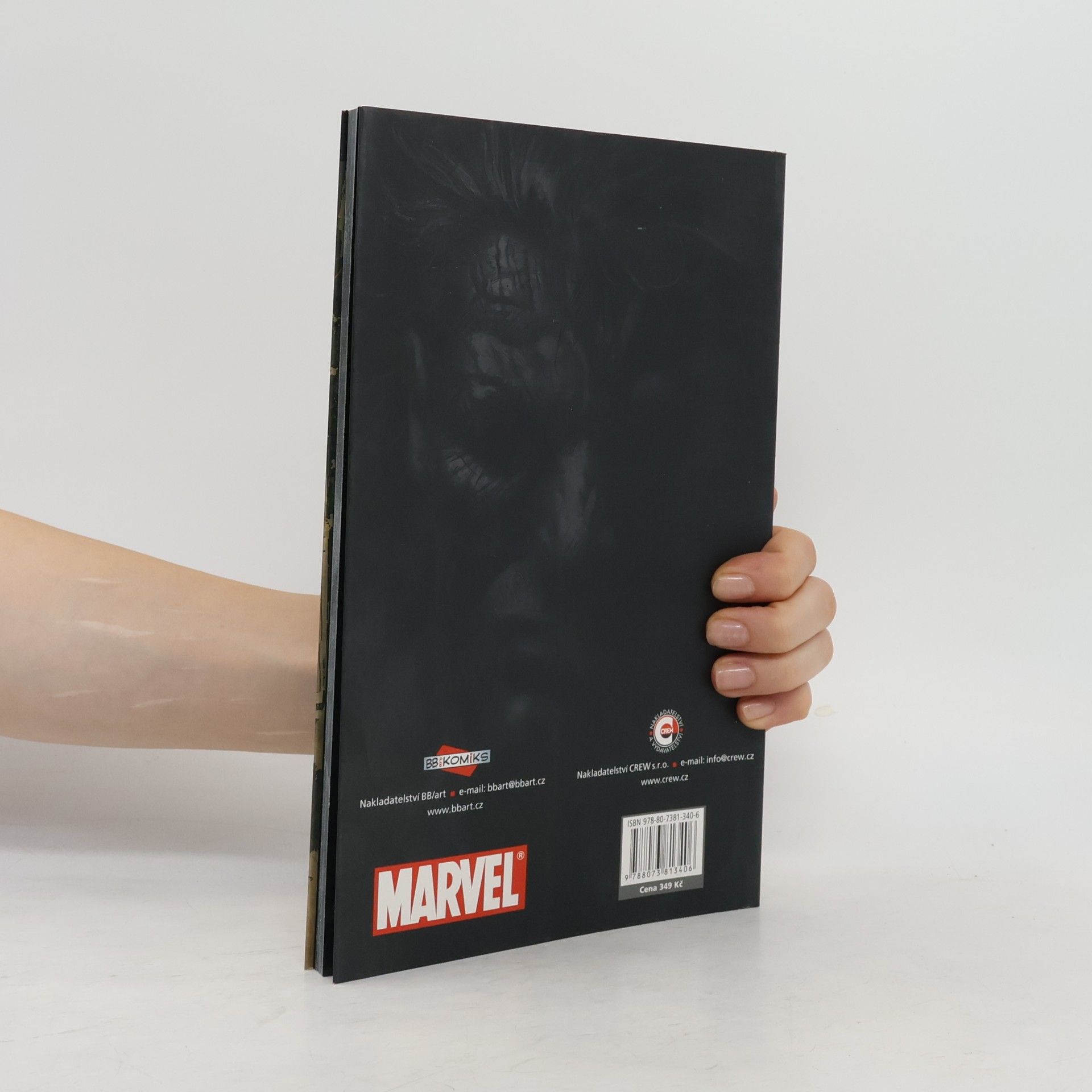 Garth Ennis Punisher Max. Na začátku