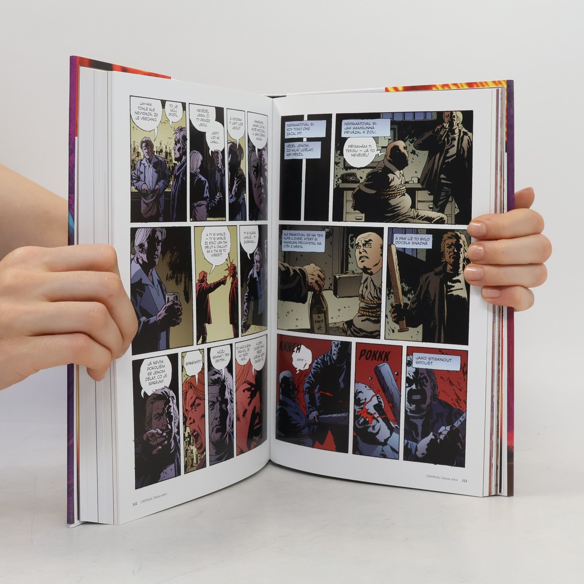 Ed Brubaker Criminal