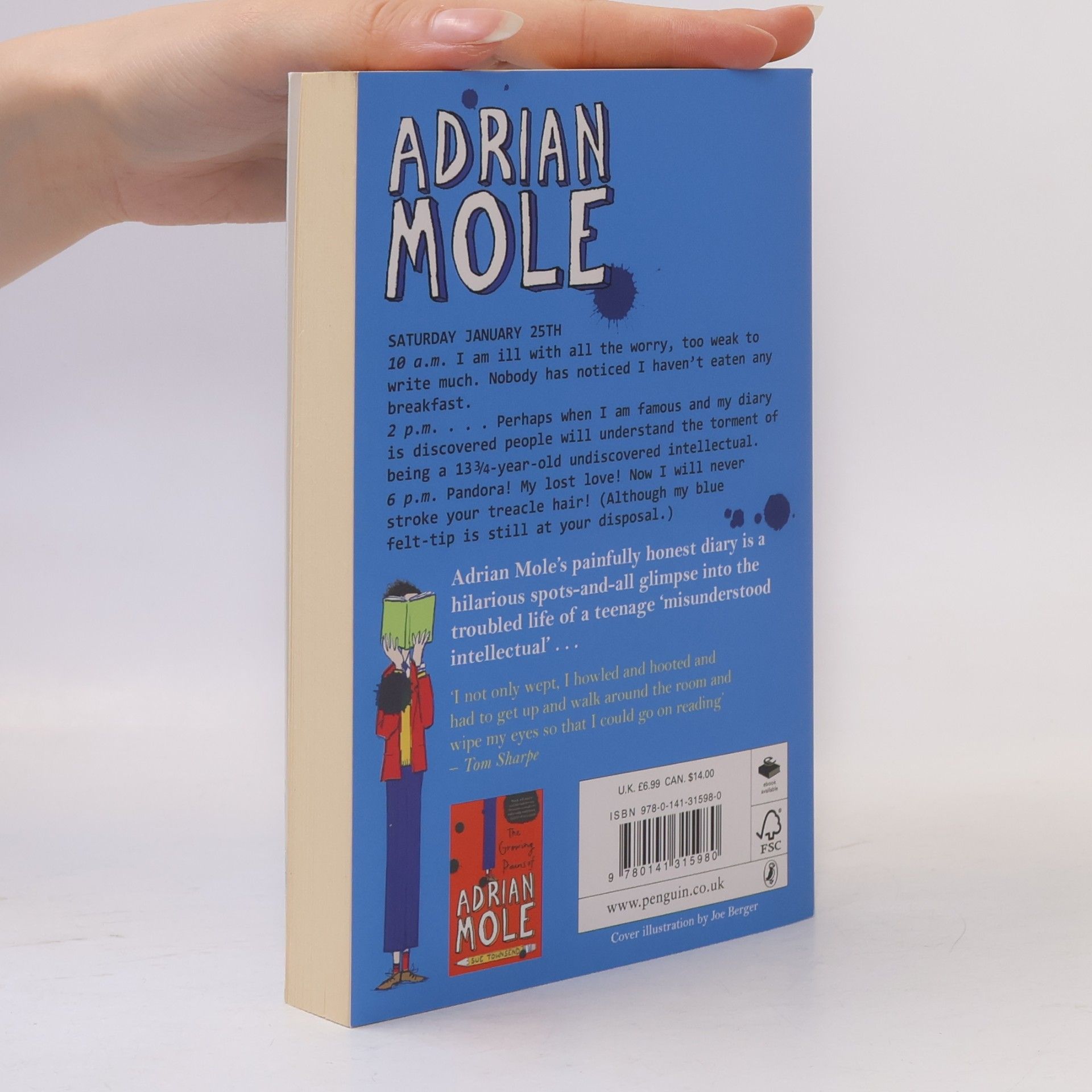 Sue Townsend The Secret Diary of Adrian Mole Aged 13 3/4