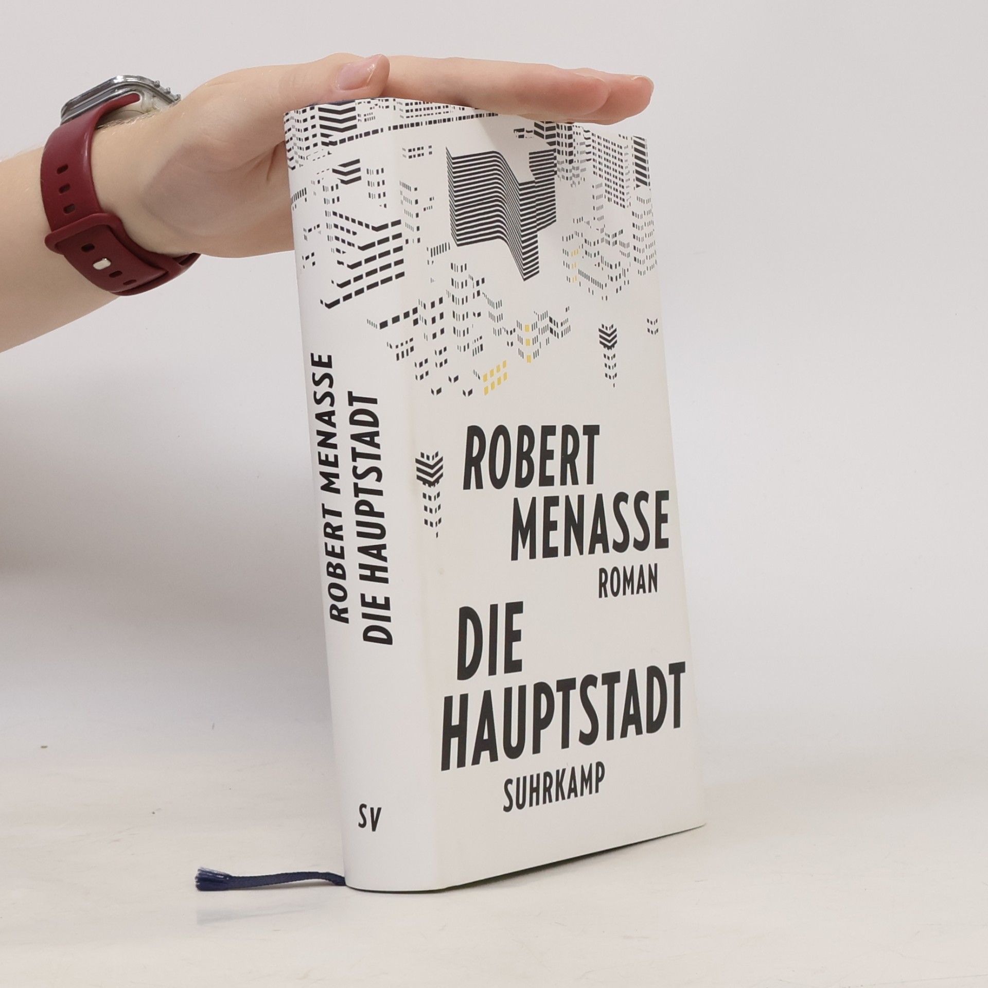 Robert Menasse Die Hauptstadt