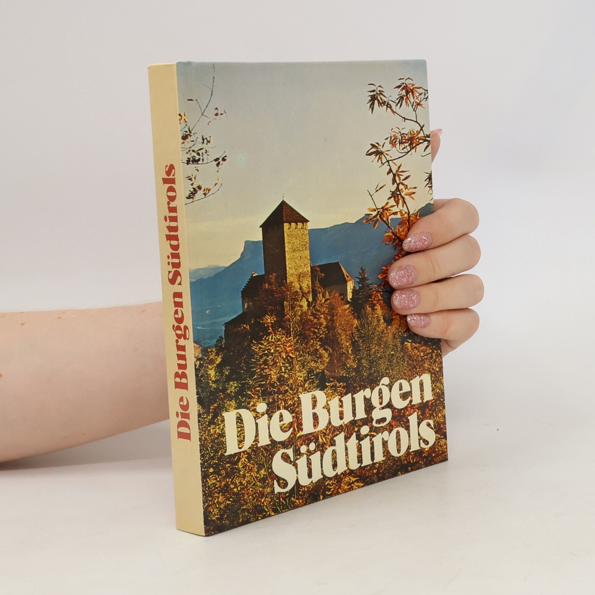 Marcello Caminiti Die Burgen Südtirols