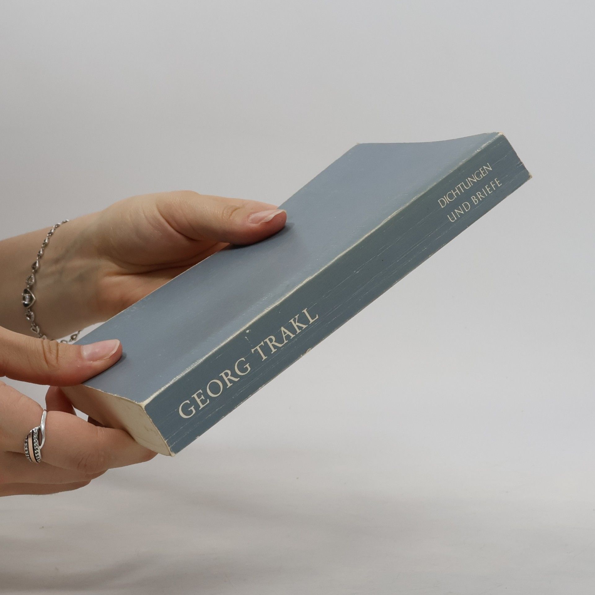 Georg Trakl Dichtungen und Briefe
