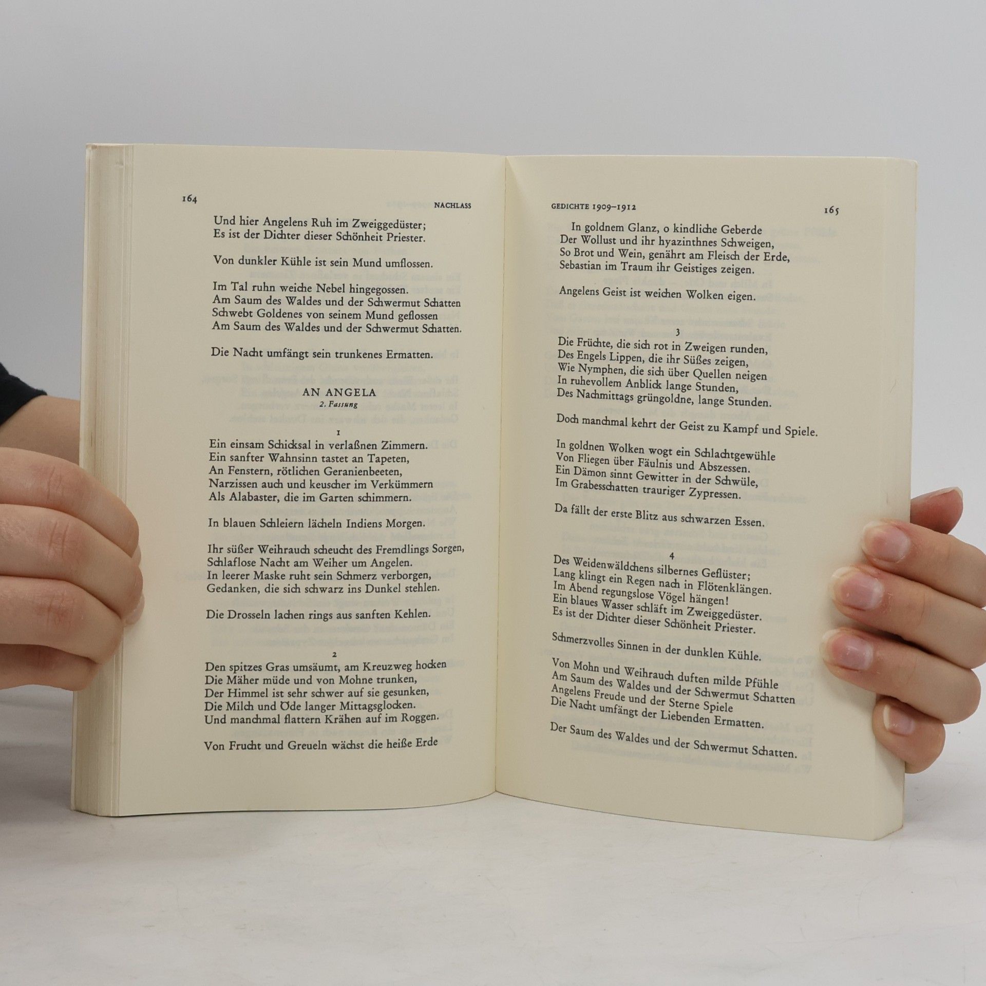 Georg Trakl Dichtungen und Briefe