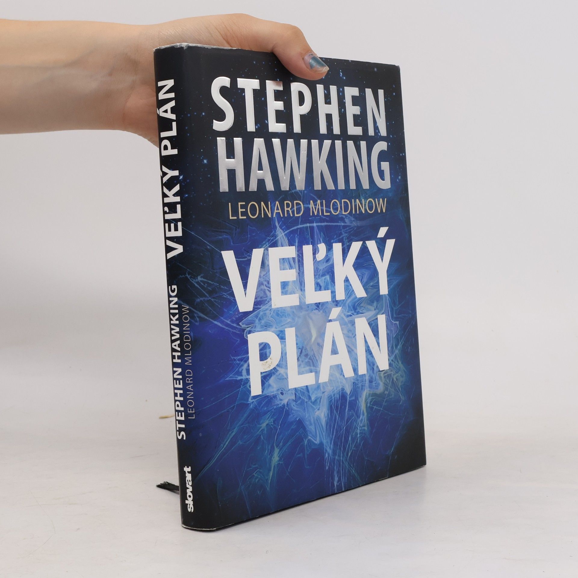 Stephen Hawking Veľký plán