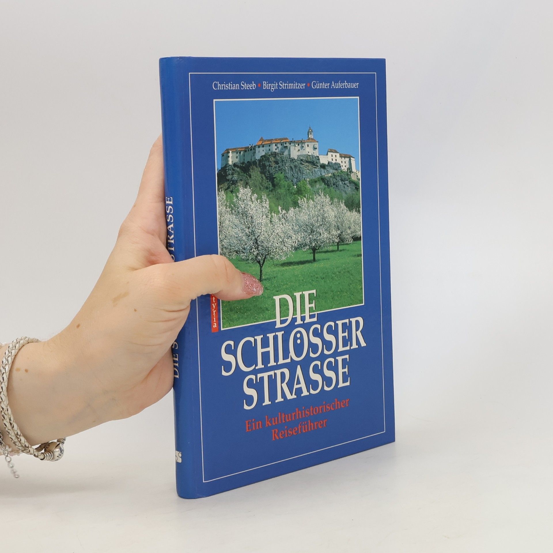 Christian Steeb Die Schlösserstrasse