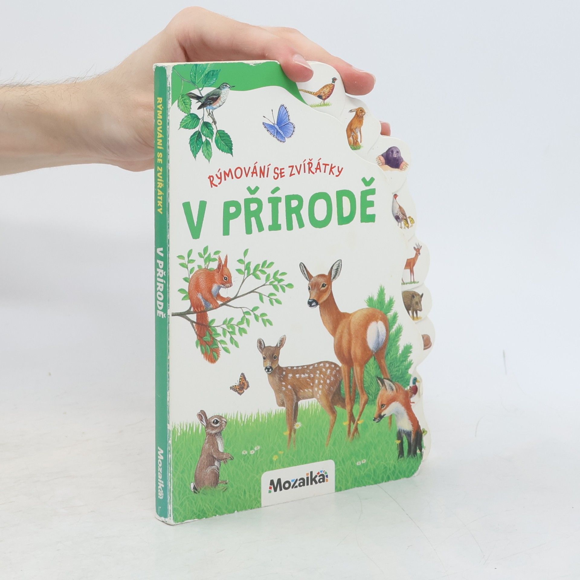 Autores varios Rýmování se zvířátky: V přírodě
