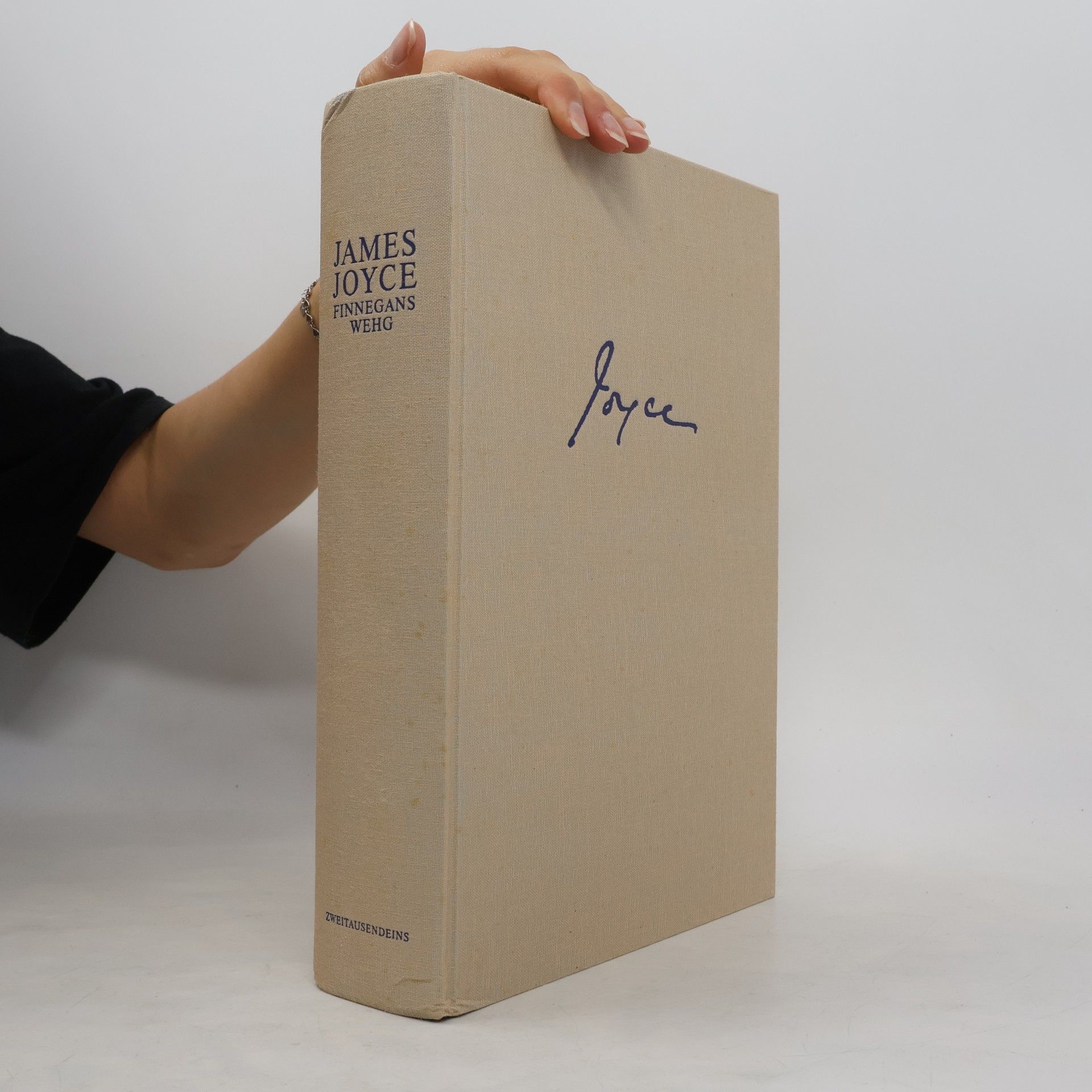 James Joyce Finnegans Wehg