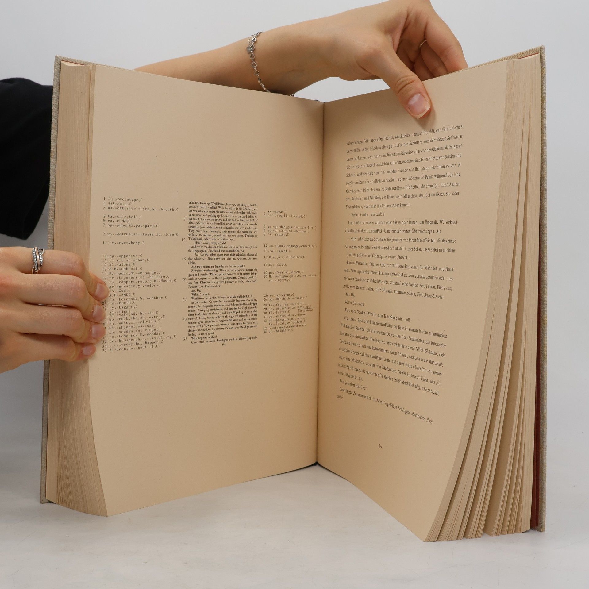 James Joyce Finnegans Wehg
