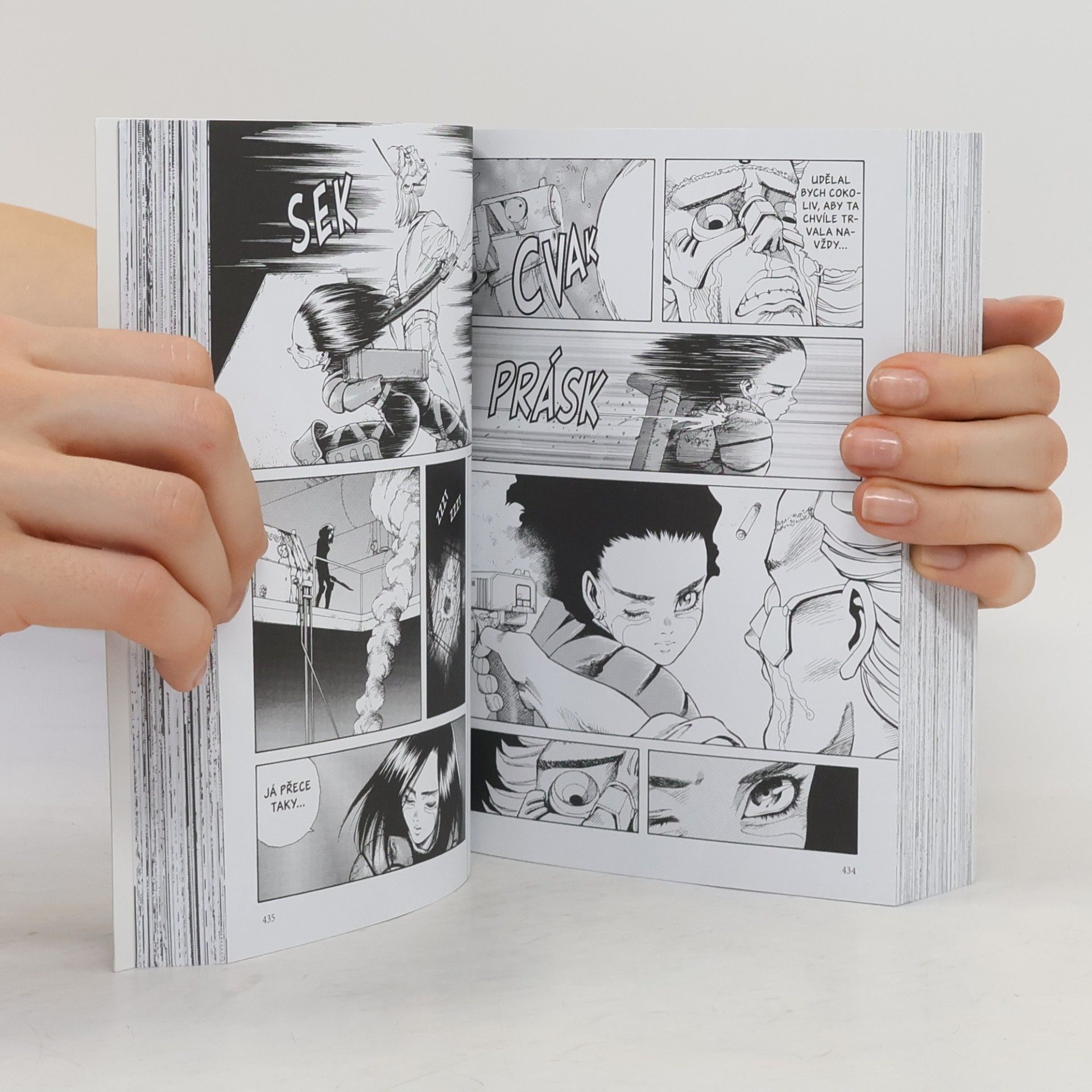 Yukito Kishiro Bojový anděl Alita. 4, Dobytí Salemu