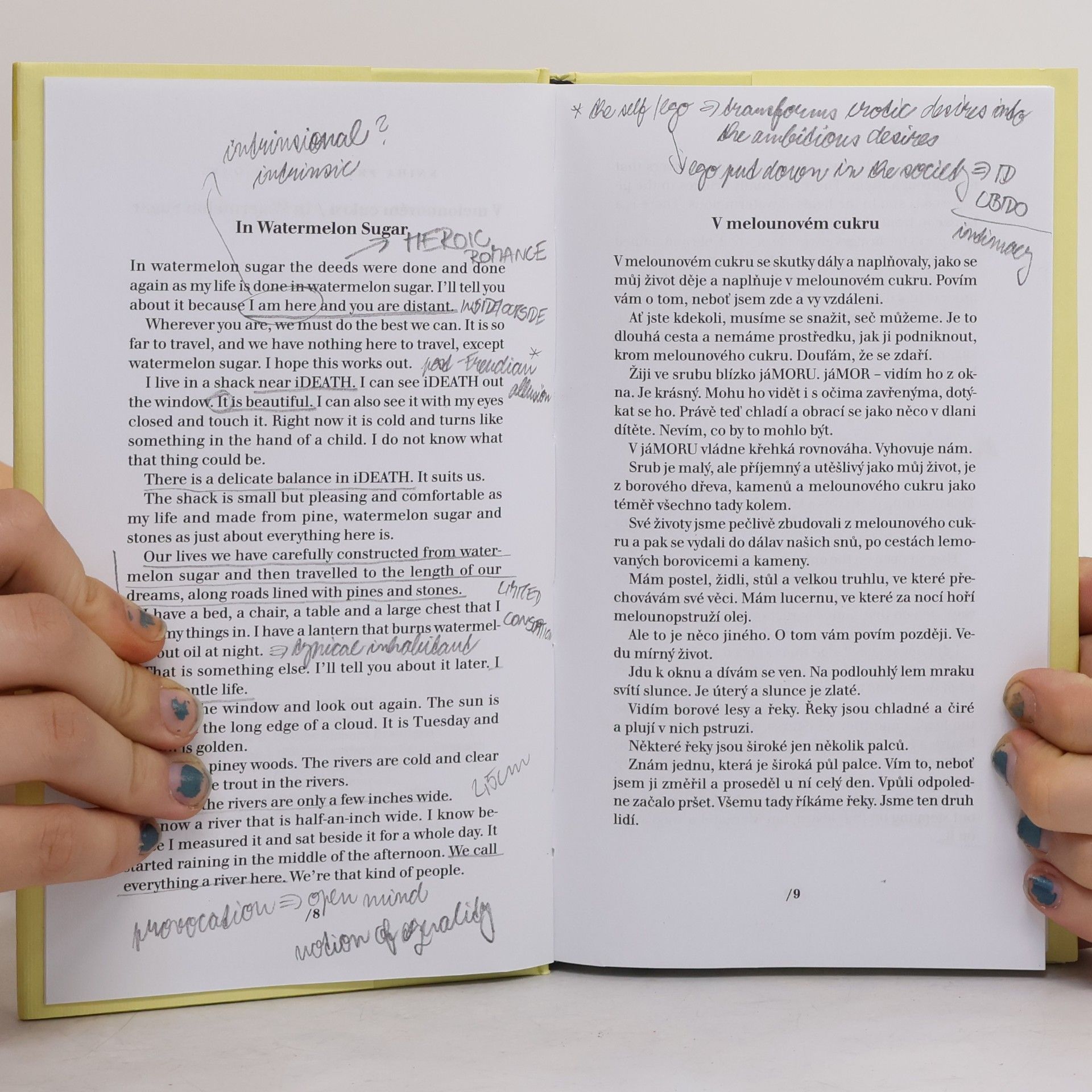Richard Brautigan V melounovém cukru. In Watermelon Sugar