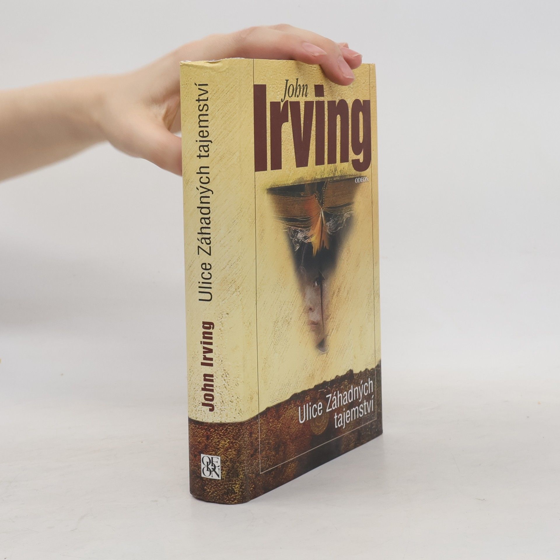 John Irving Ulice Záhadných tajemství