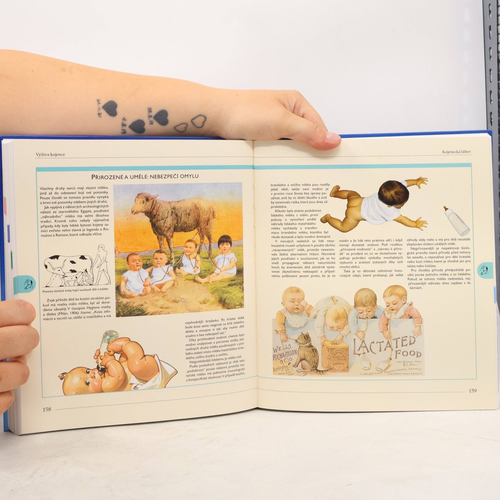Paolo Sarti Těhotenství a péče o dítě : kompletní průvodce od početí do věku šesti let : ilustrovaný atlas