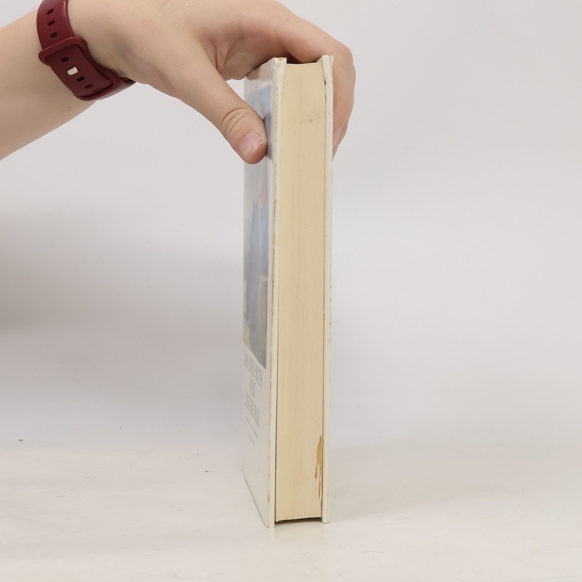 Katja Behrens Das Insel-Buch vom Lob der Frau
