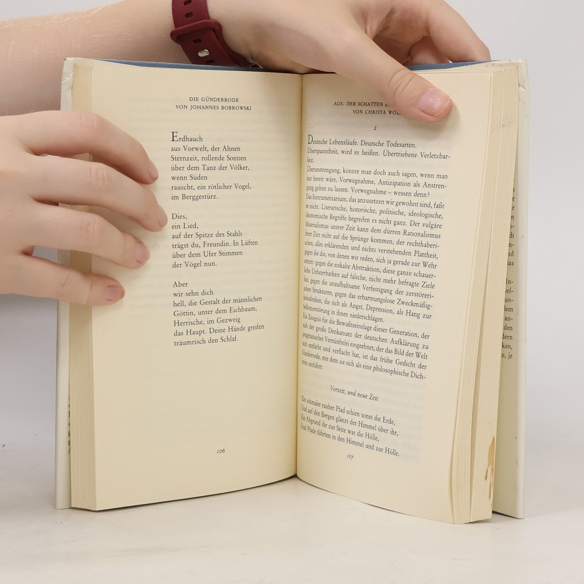 Katja Behrens Das Insel-Buch vom Lob der Frau