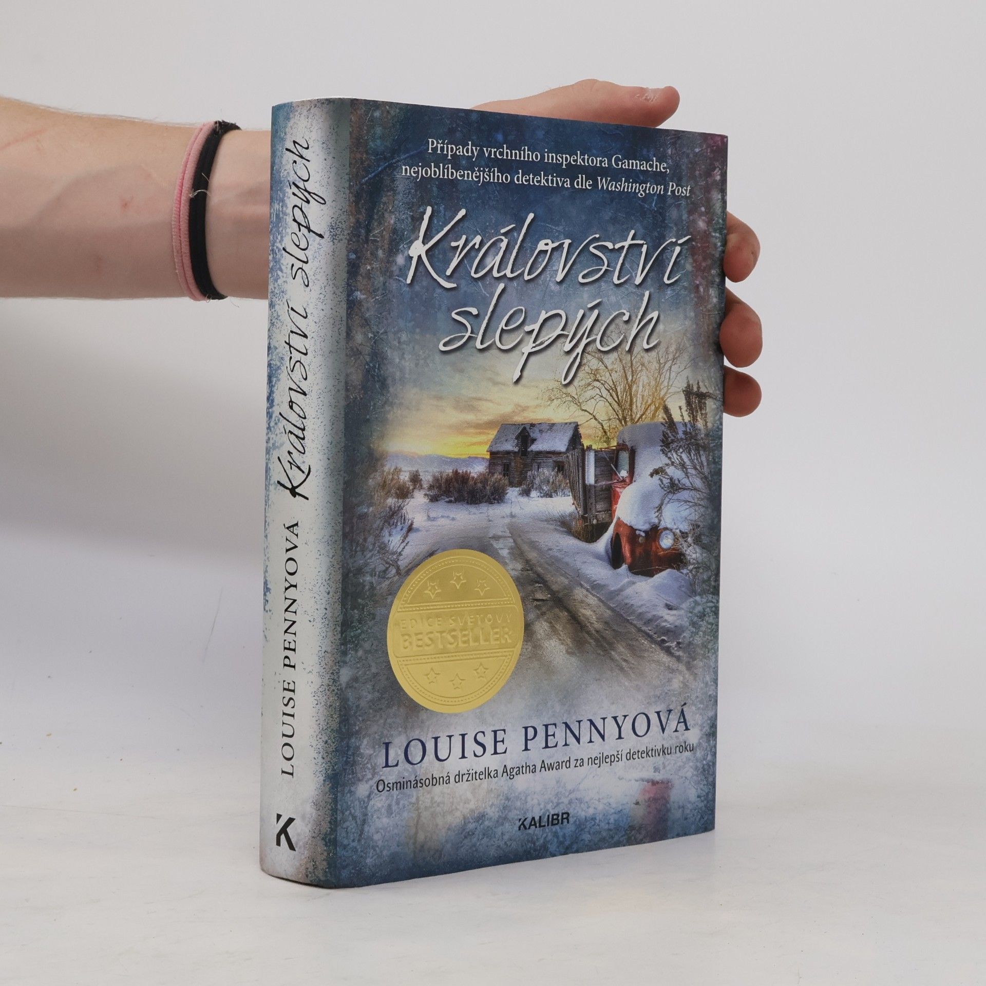 Louise Penny Království slepých