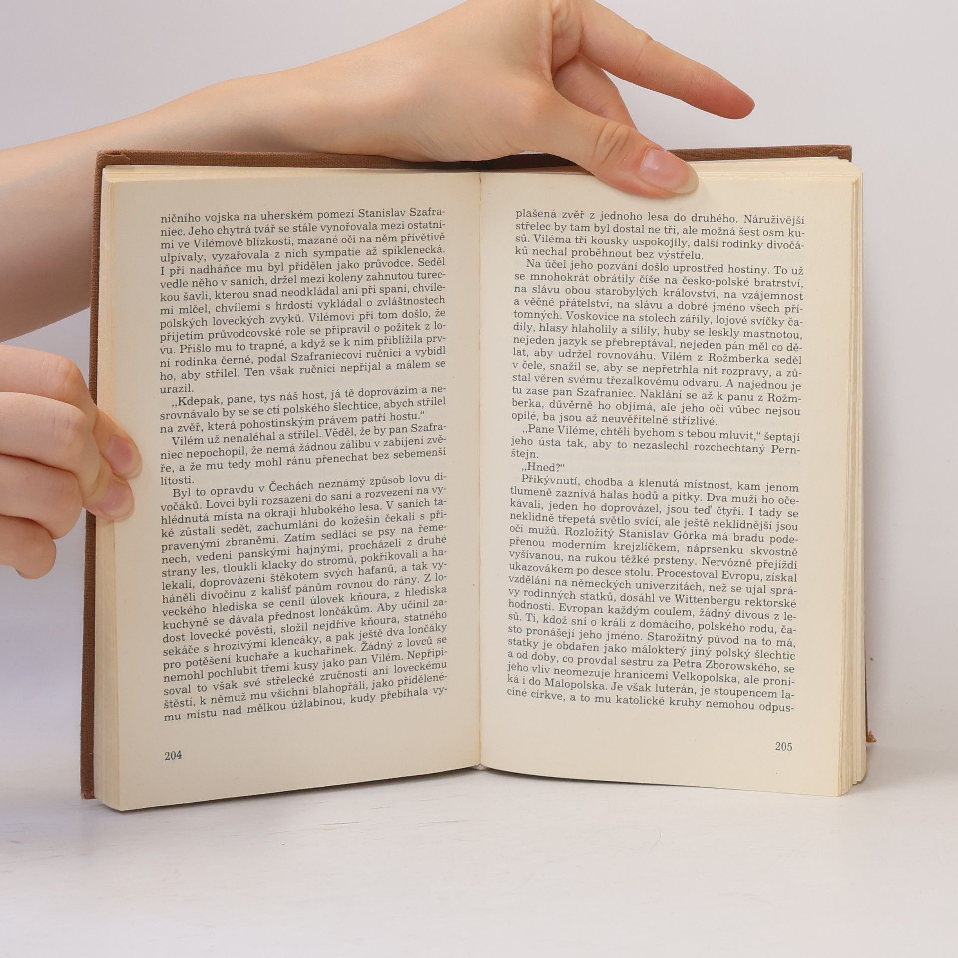 Jaroslav Boček Čas korunního prince